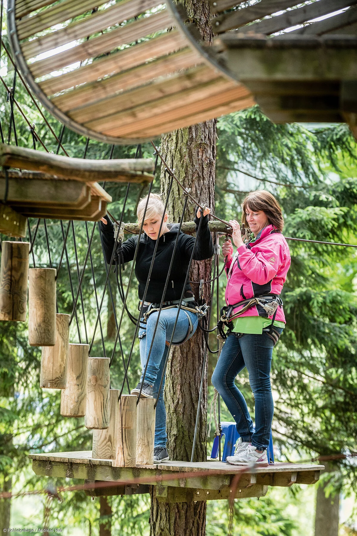 Kletterwald