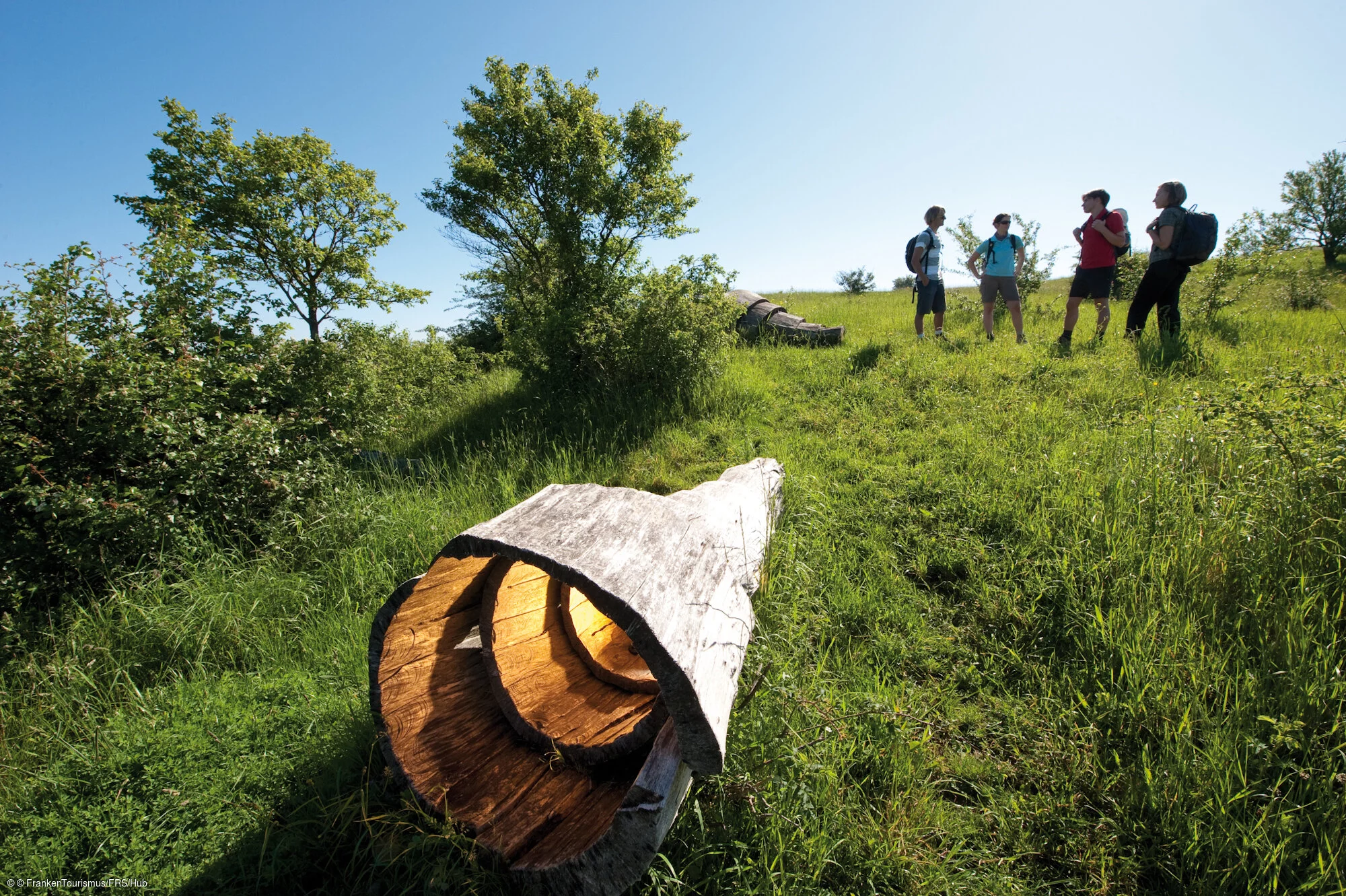 Naturkunstraum, Neubürg bei Wohnsgehaig