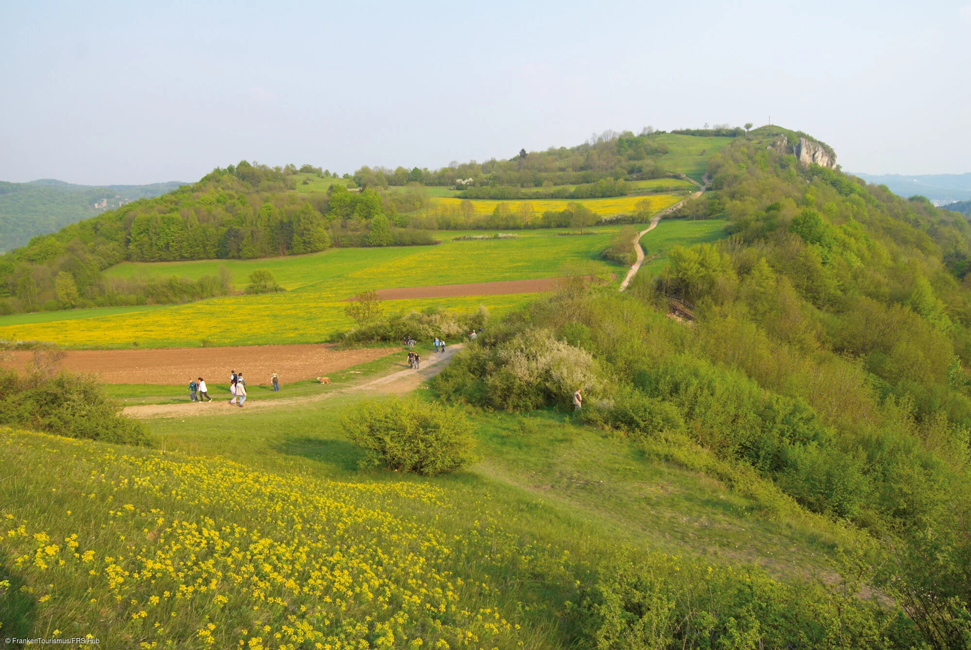 Wandern auf dem Plateauberg Walberla