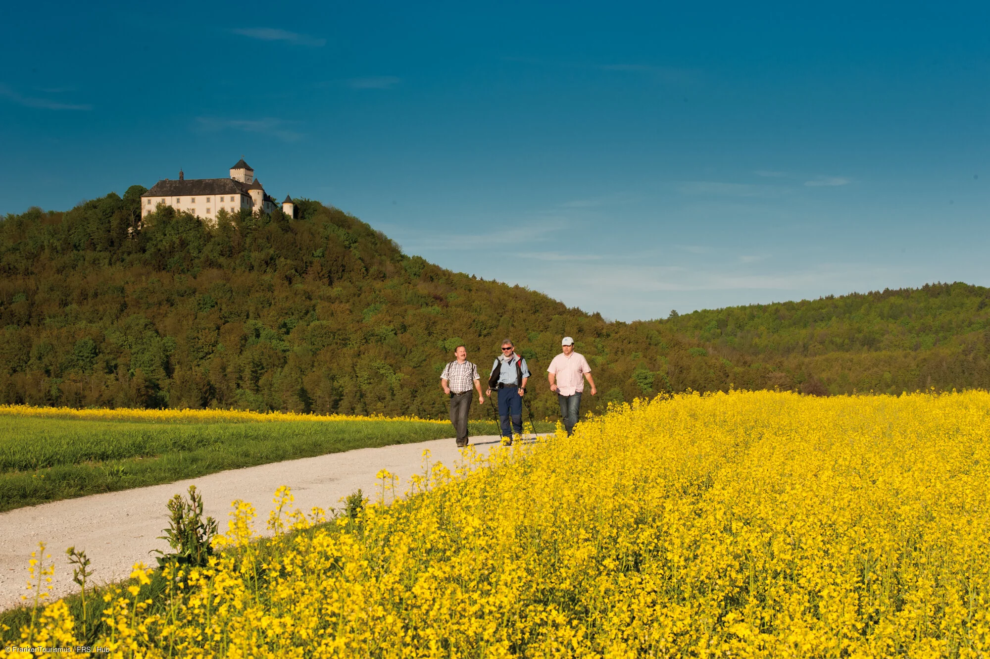Wandern / Schloss Greifenstein
