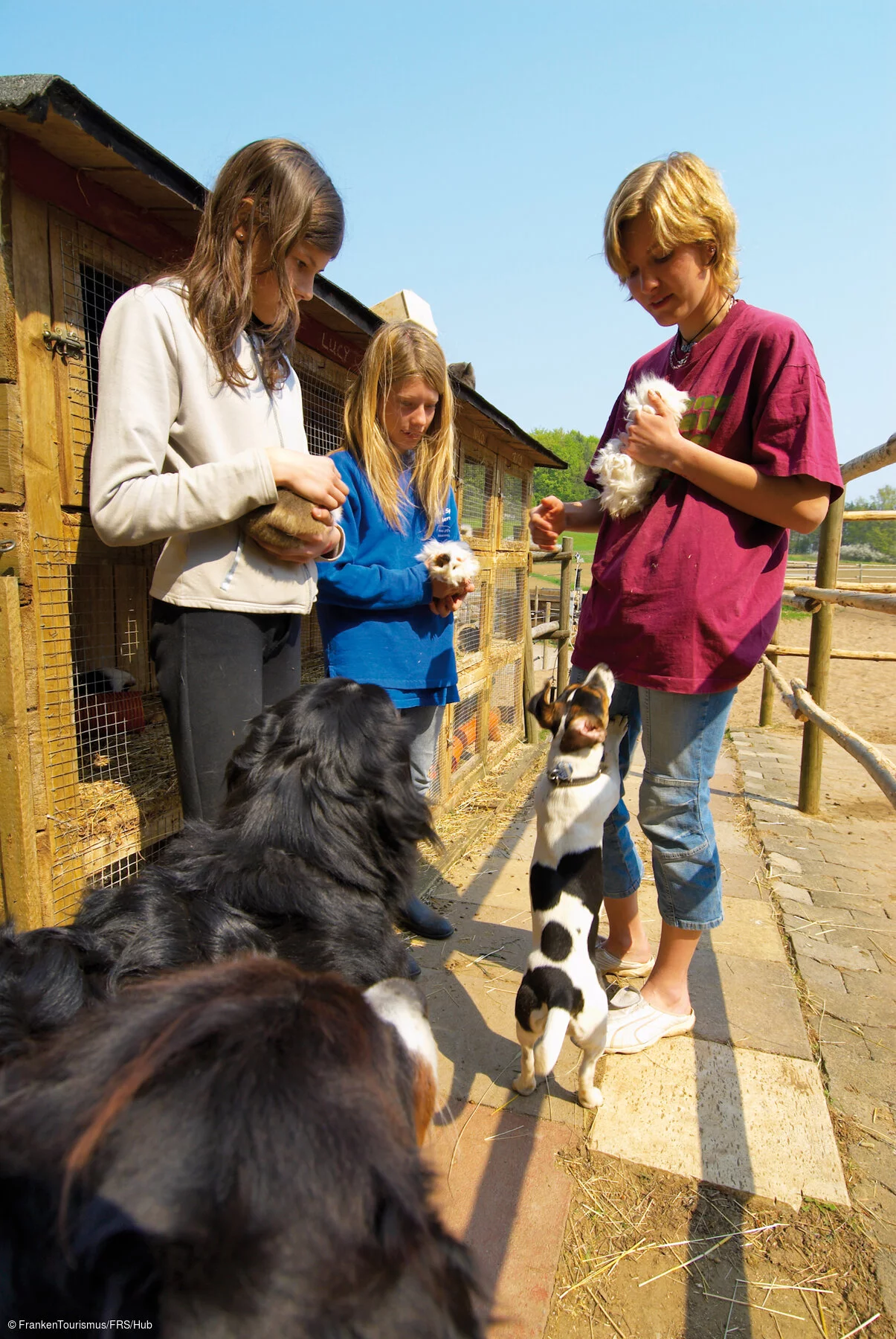 Familie mit Tieren