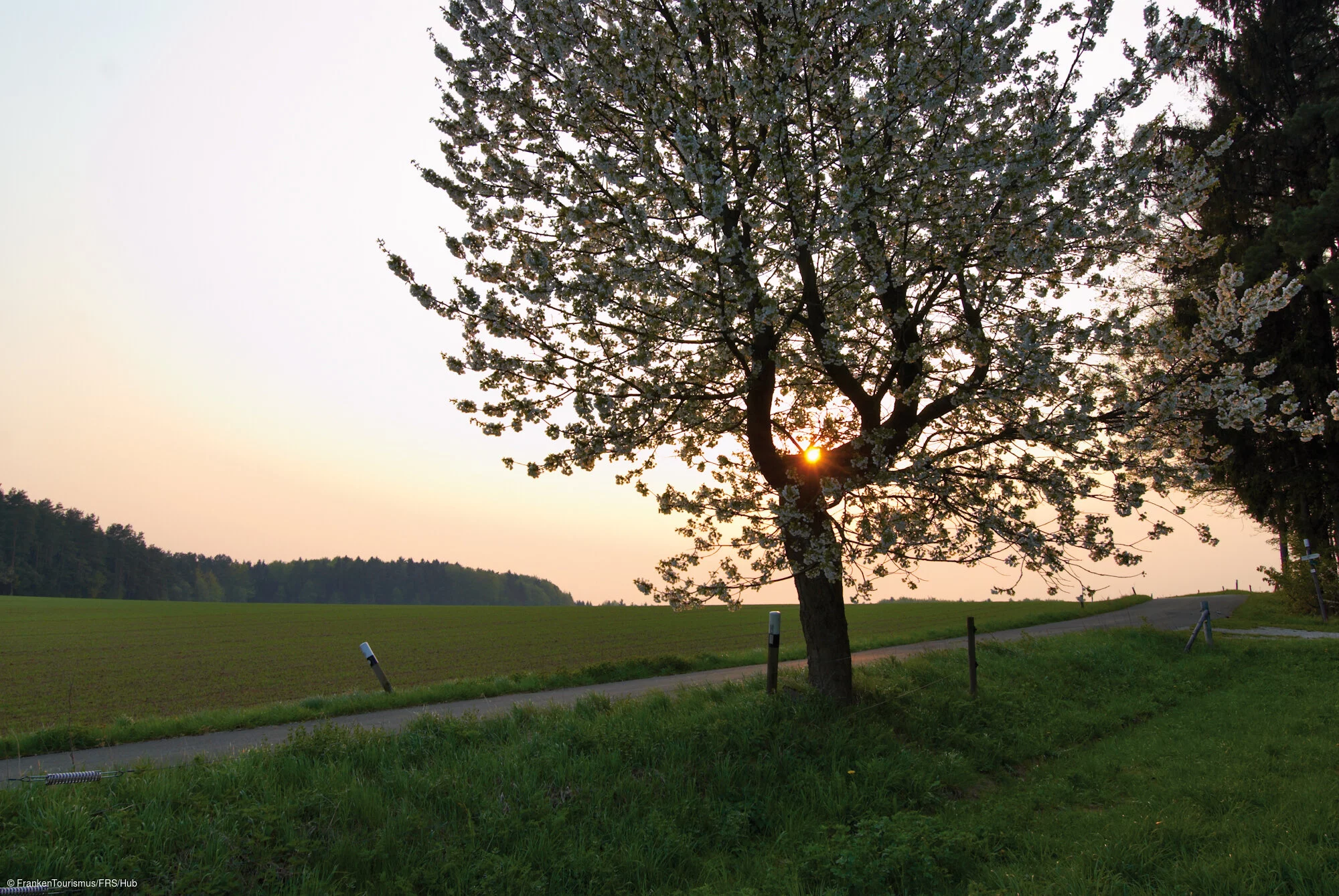 Landschaft bei Streitberg