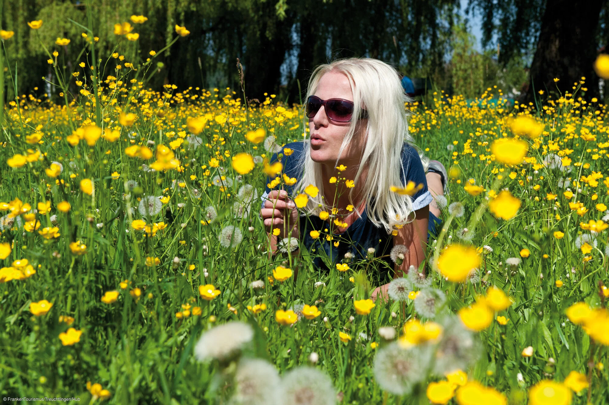 Blumenwiese