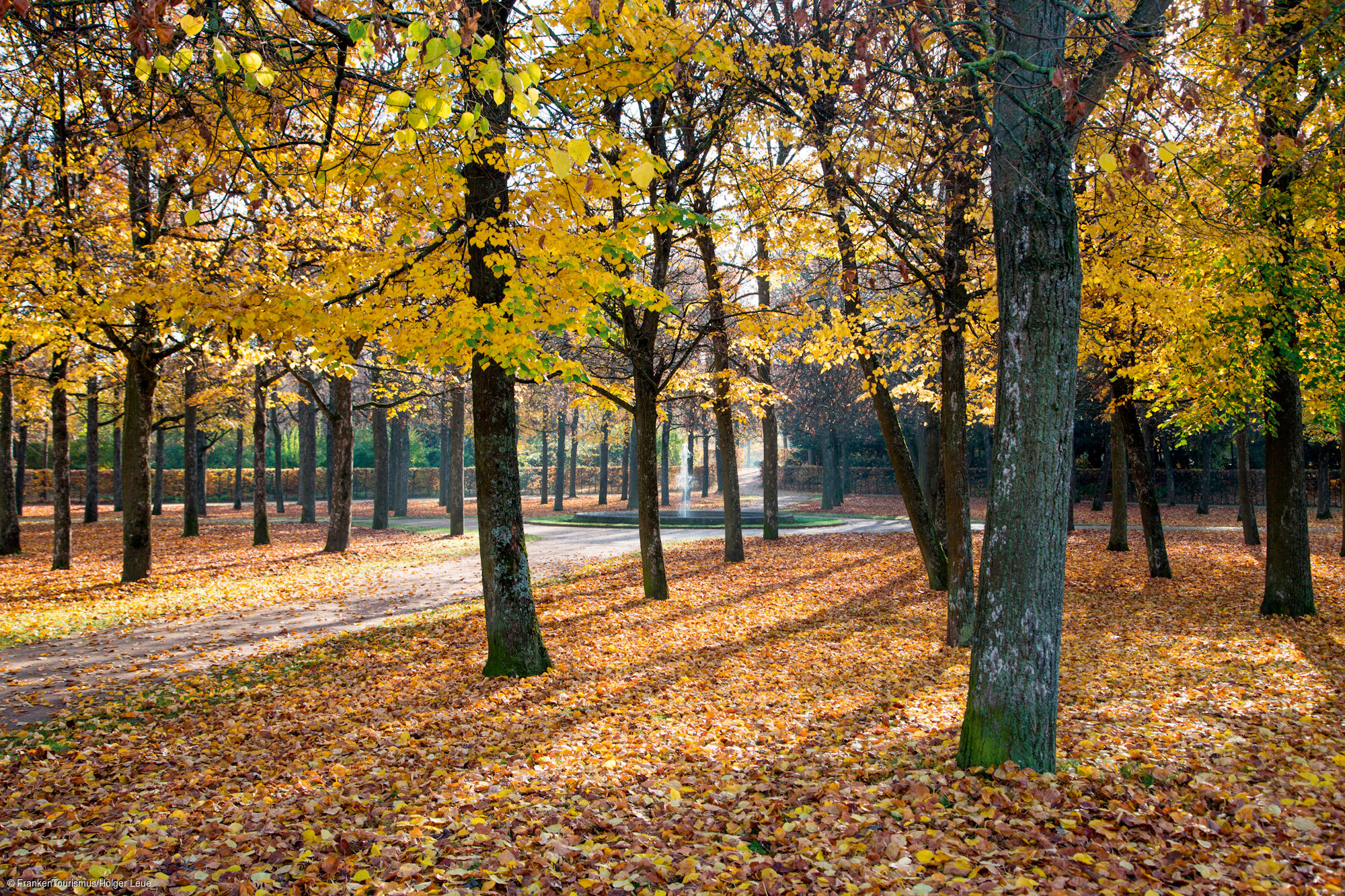 Hofgarten im Herbst (Ansbach, Romantisches Franken)