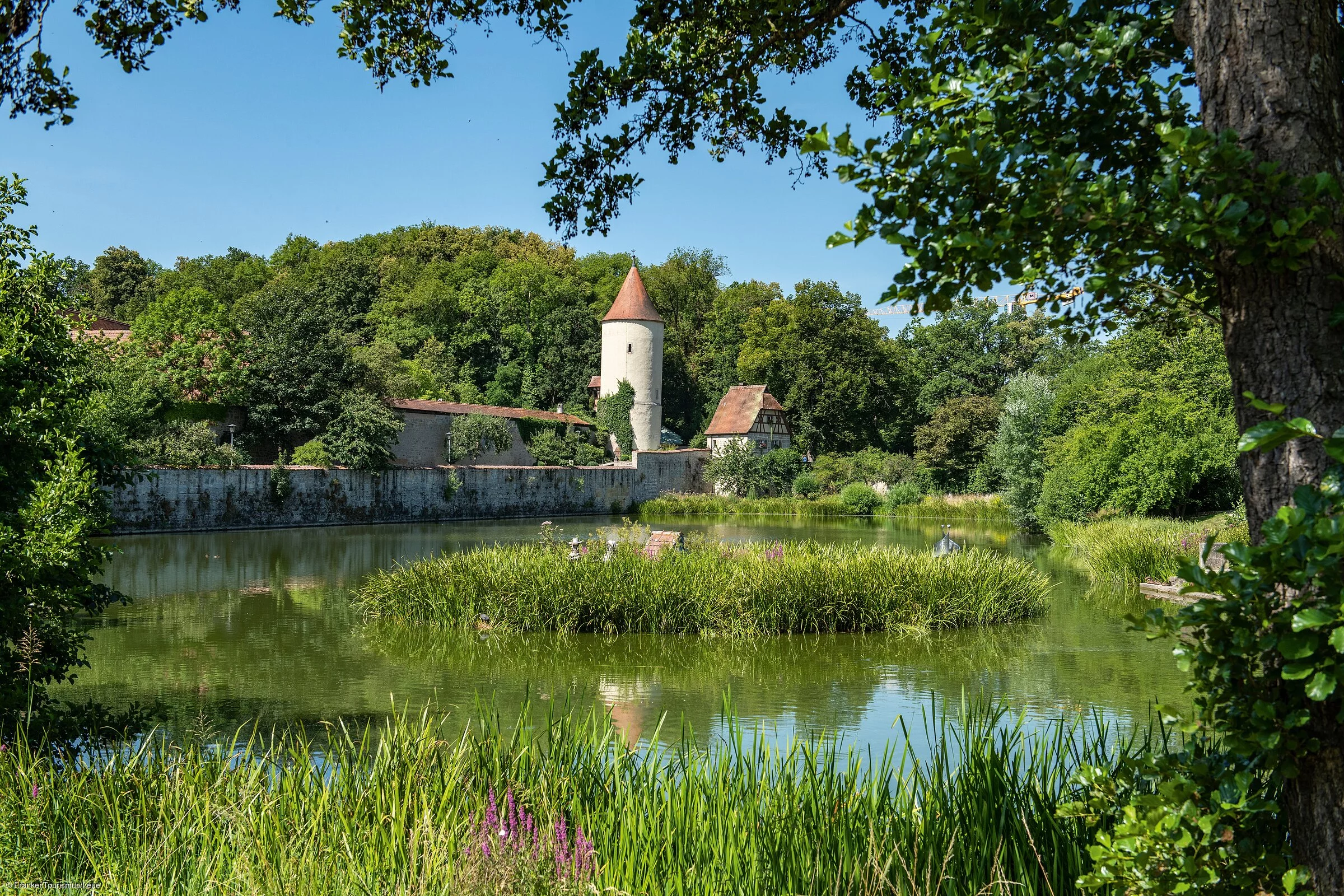 Parkanlage am Rothenburger Weiher mit Faulturm im Hintergrund