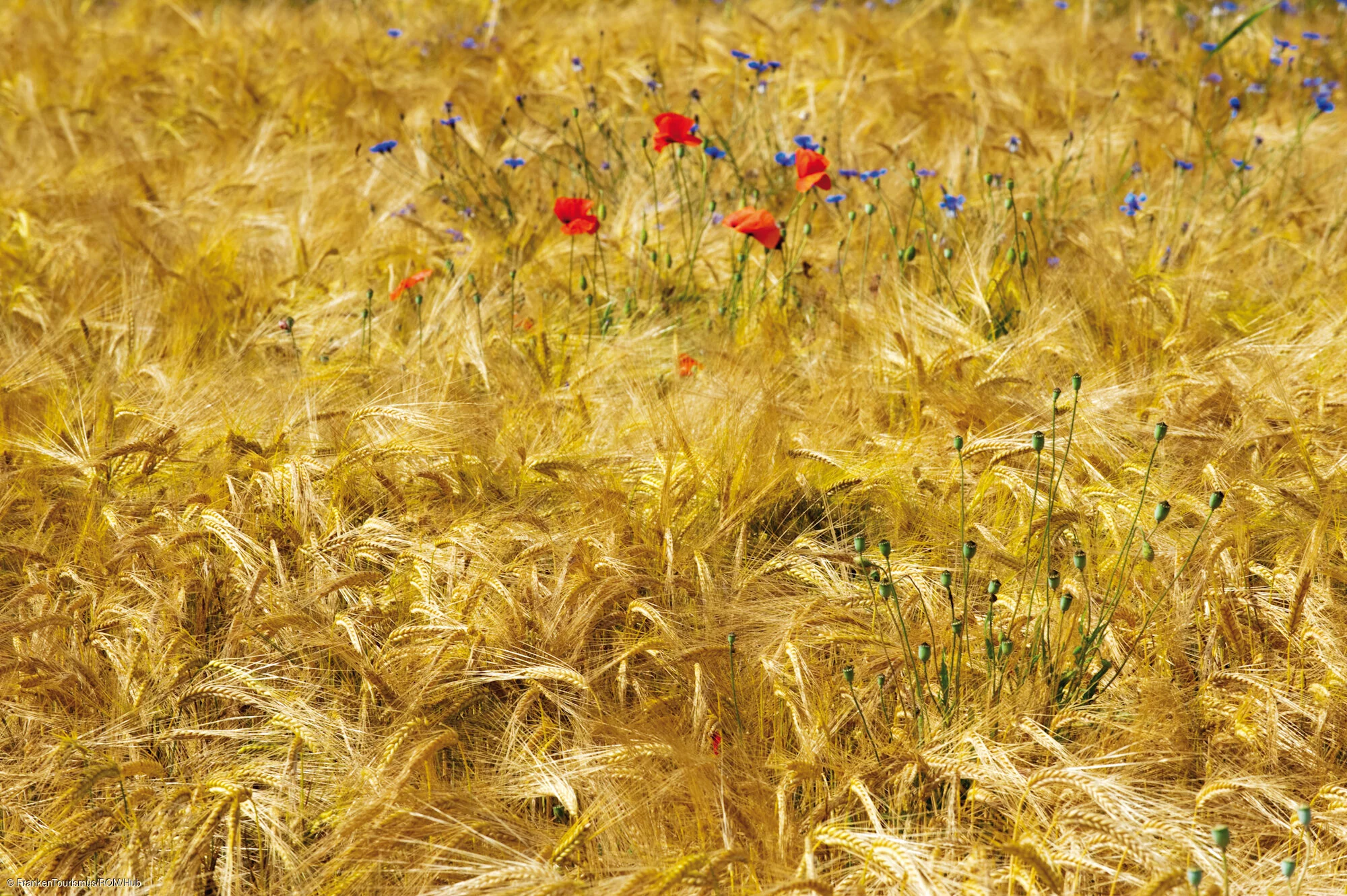 Landschaftsimpression