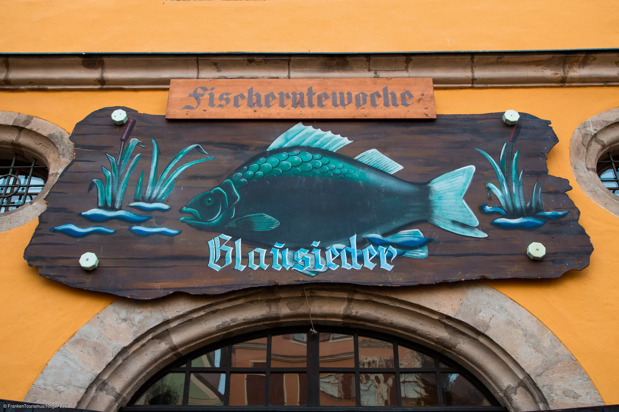 Fischerntewoche, Blausieder