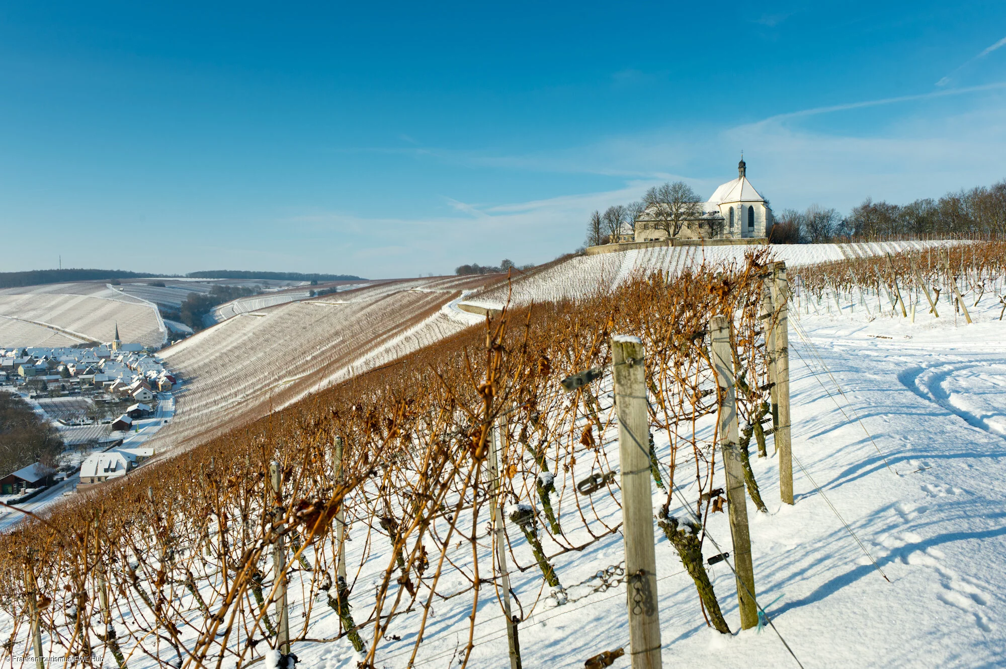 Volkacher Mainschleife, Blick auf Vogelsburg