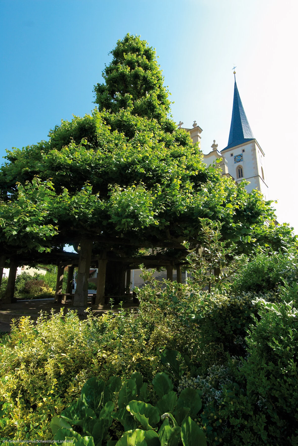 Stufenlinde und Kirche