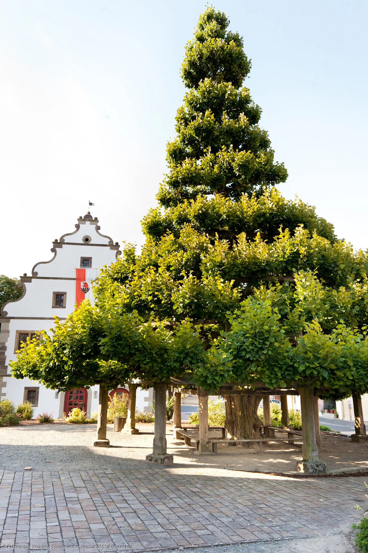 Rathaus mit Stufenlinde