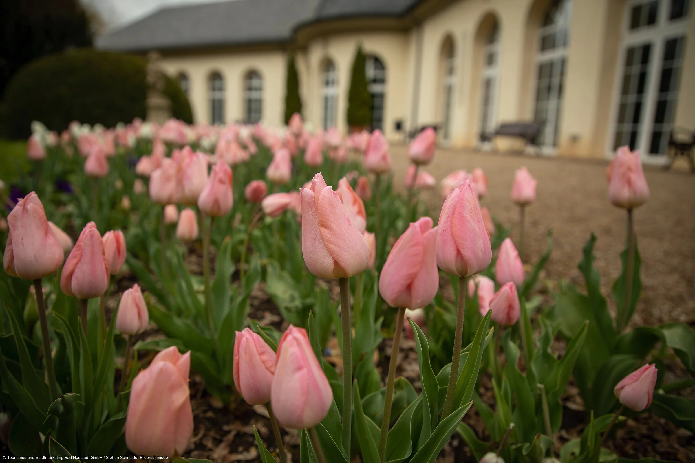 Frühling im Kurpark
