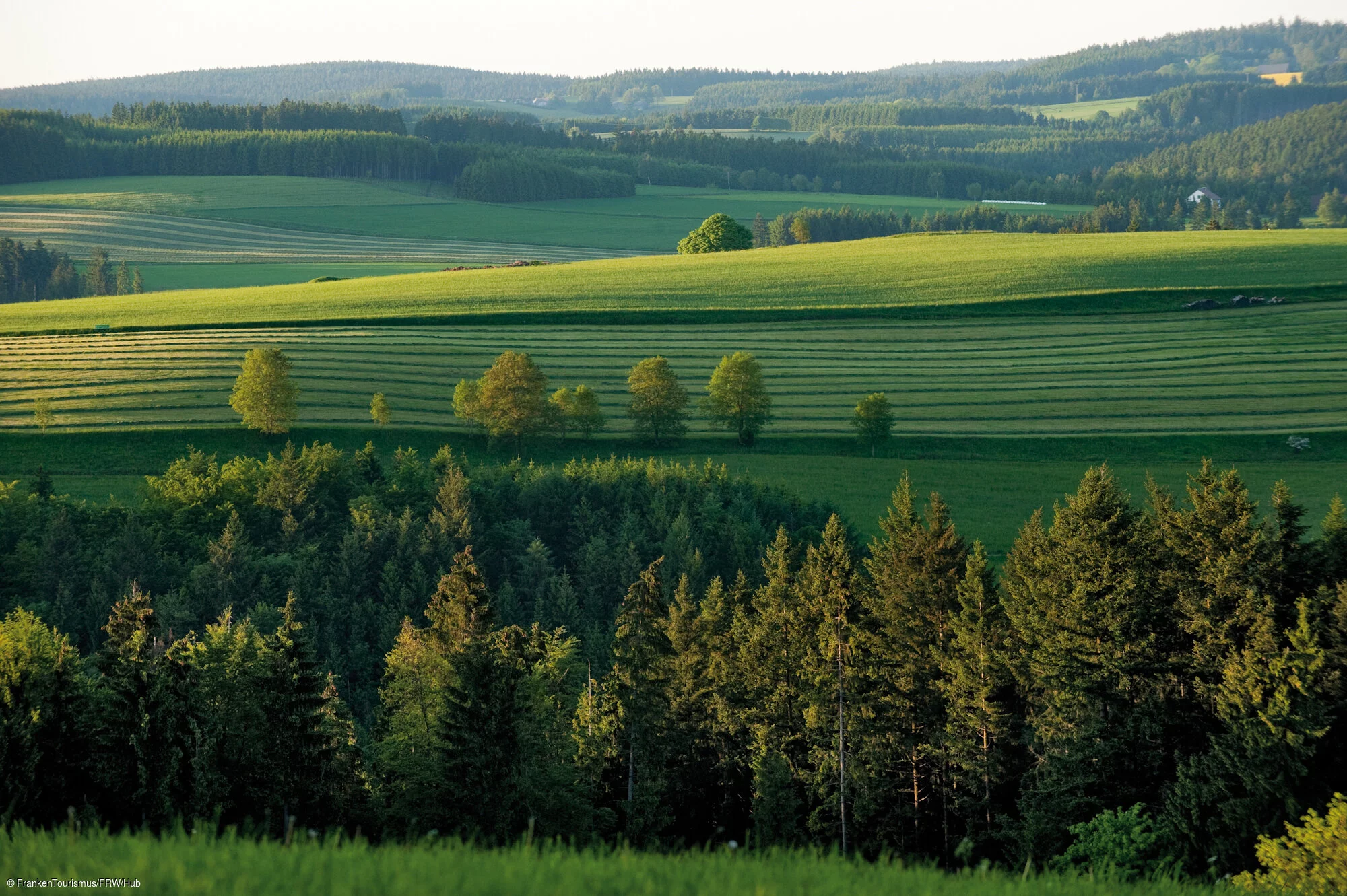 Fränkische Brotzeit in der Natur mit Blick auf die Sinterasen