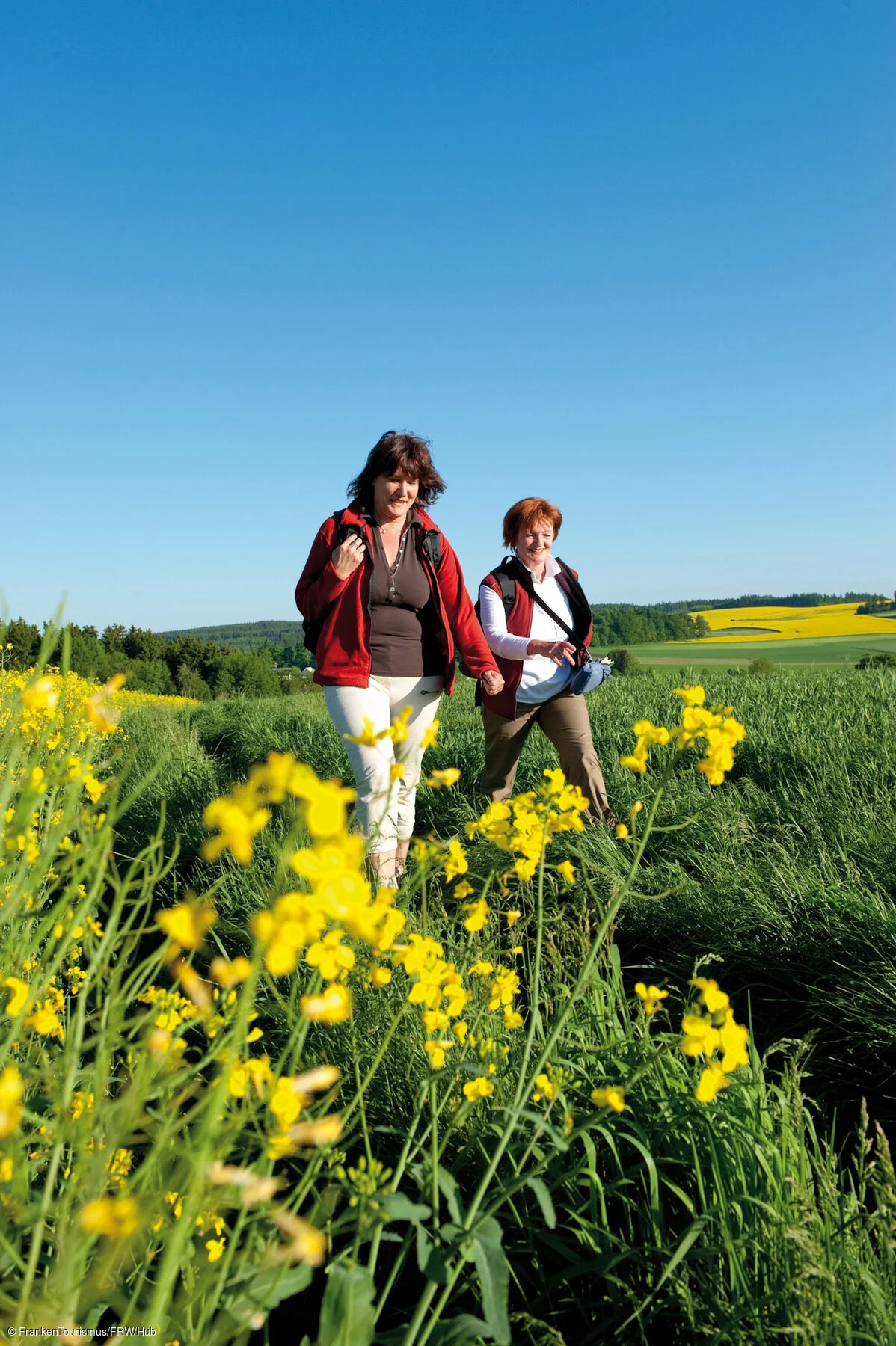 Unterwegs auf den Höhenzügen des Frankenwaldes