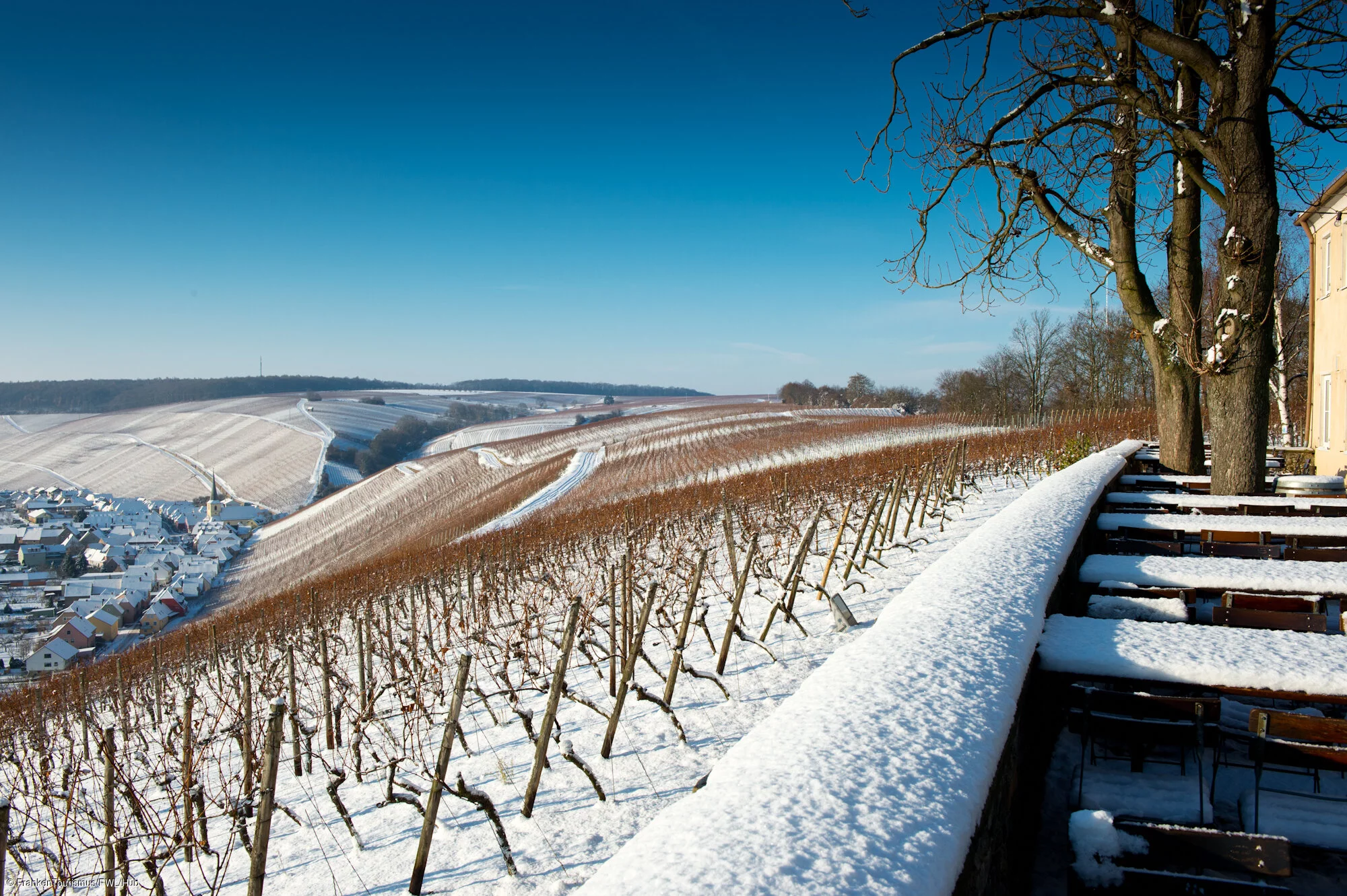 Volkacher Mainschleife, Vogelsburg mit Blick auf Escherndorf