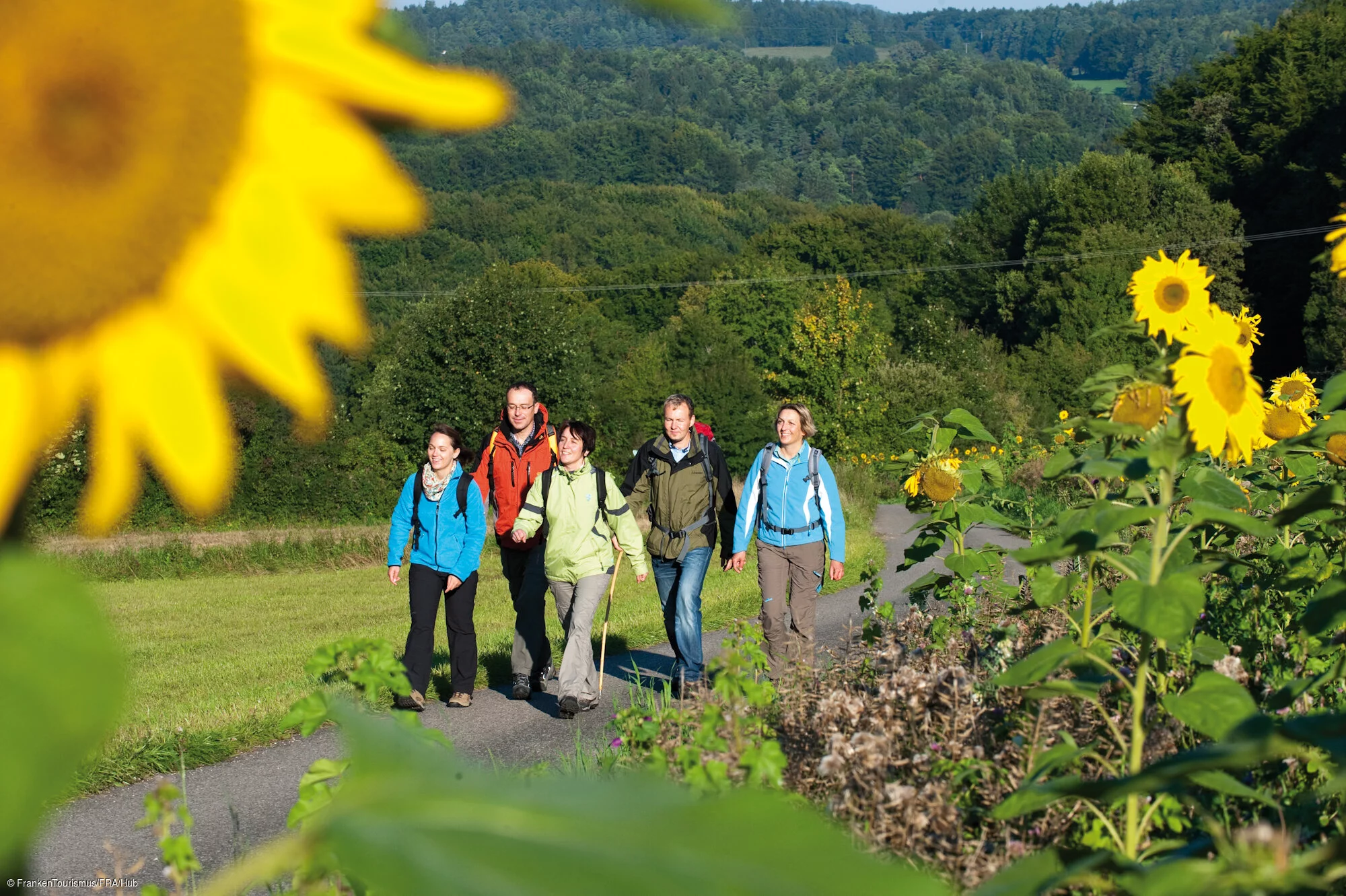 Wandern in der Frankenalb