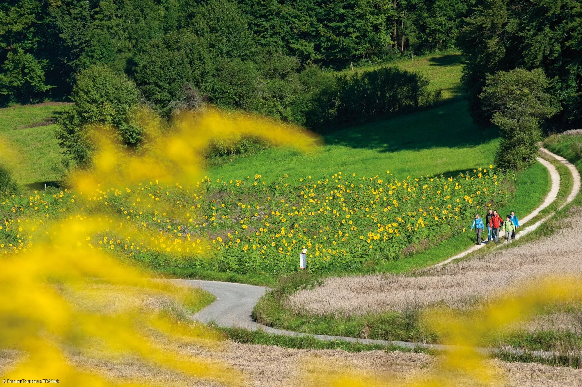 Wandern auf dem "Fränkischen Gebirgsweg" in der Frankenalb