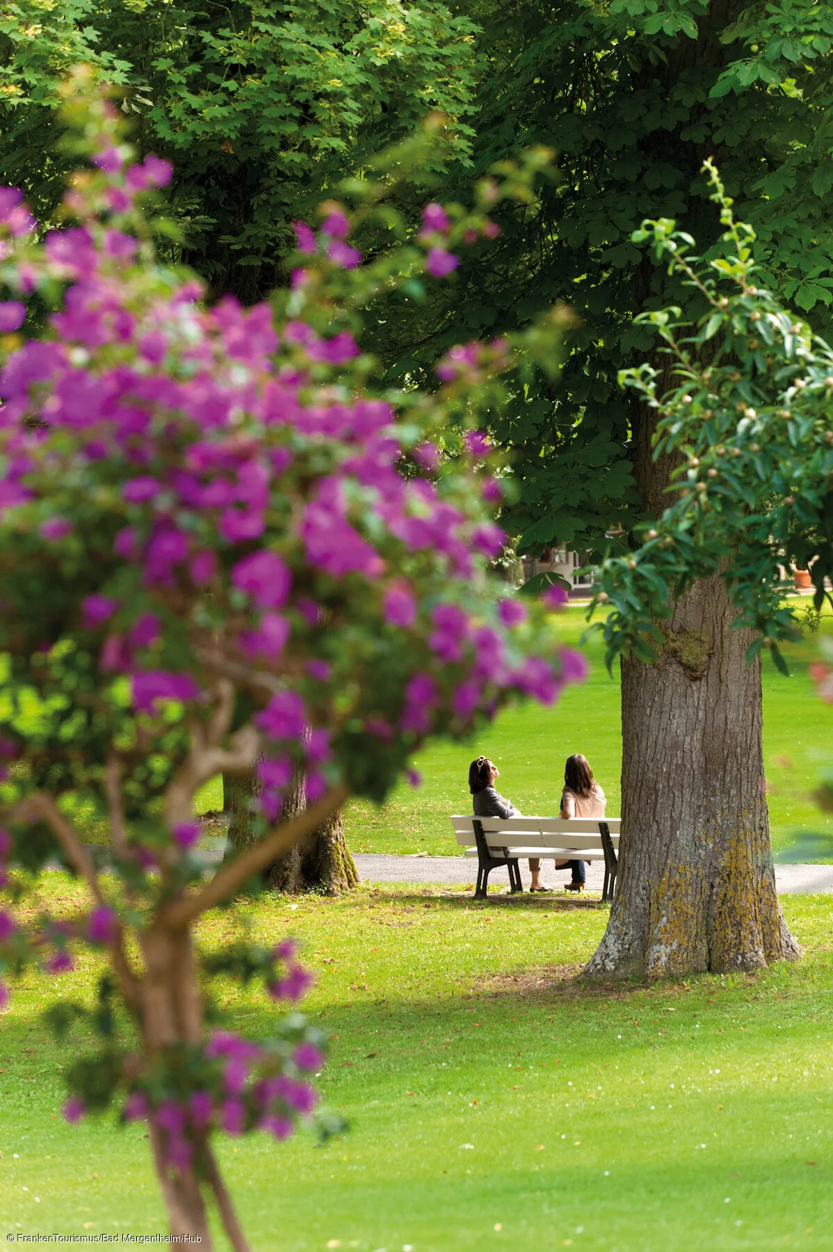 Kurpark - Impressionen