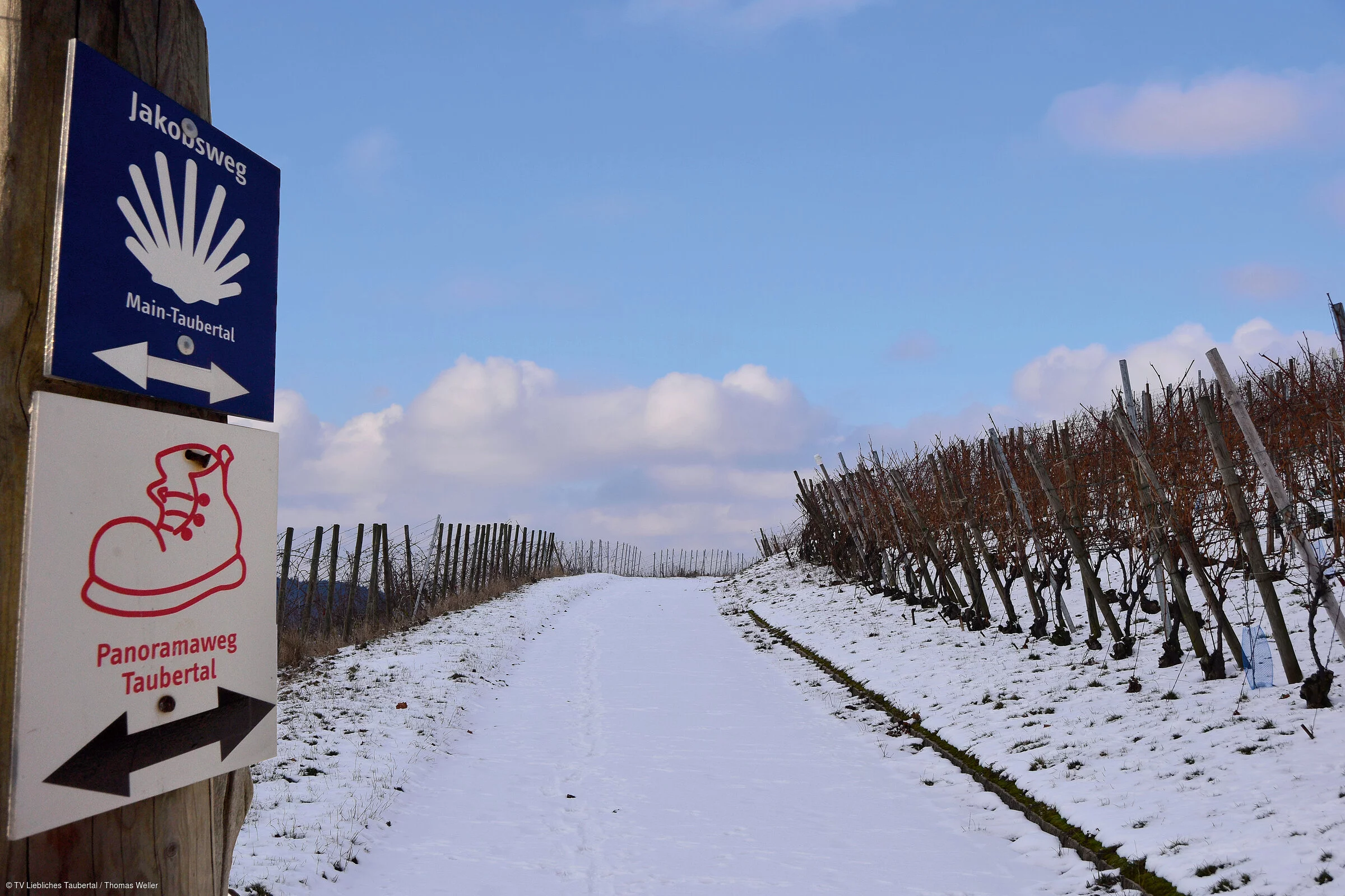 Jakobswanderweg Winterbild