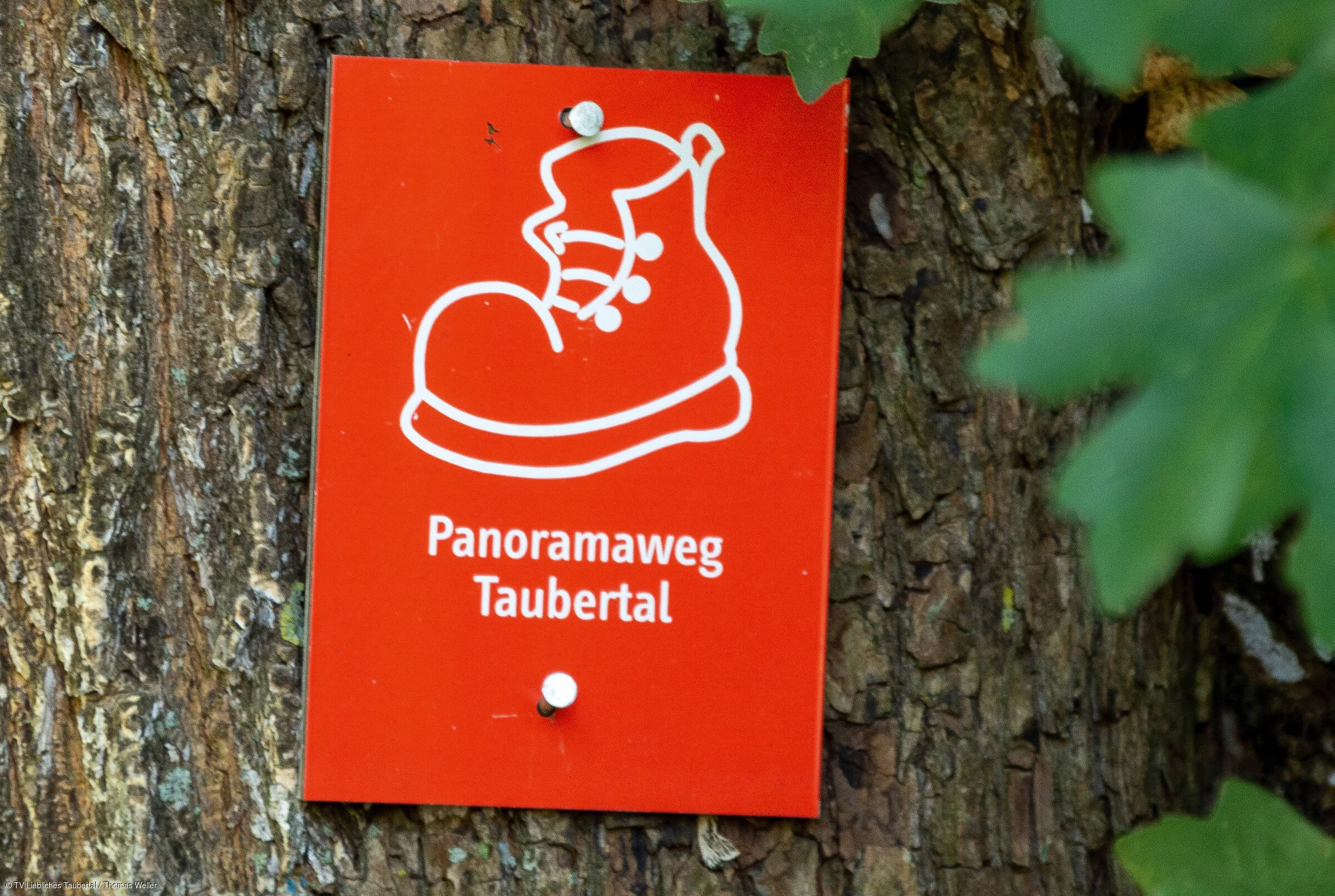 Schild Panoramaweg