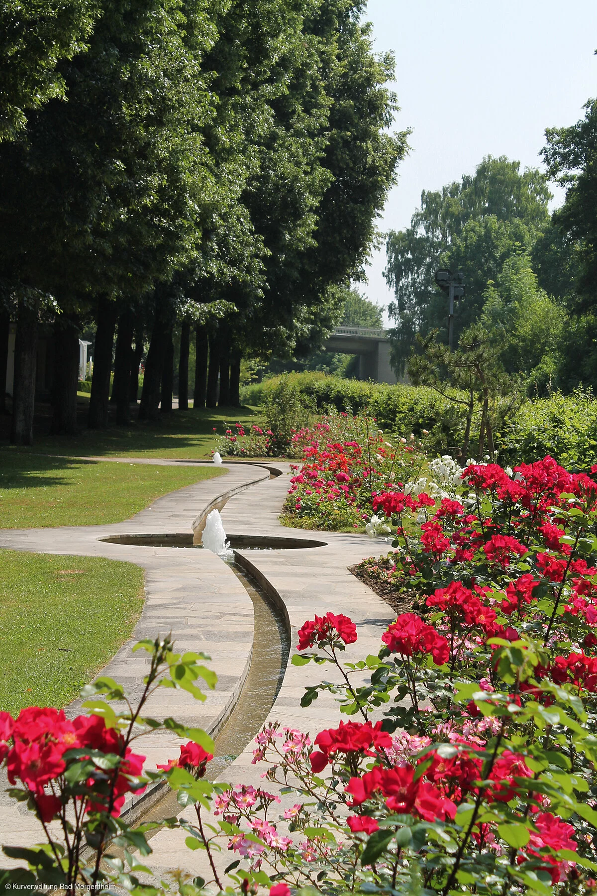 Rosenbachlauf im Kurpark