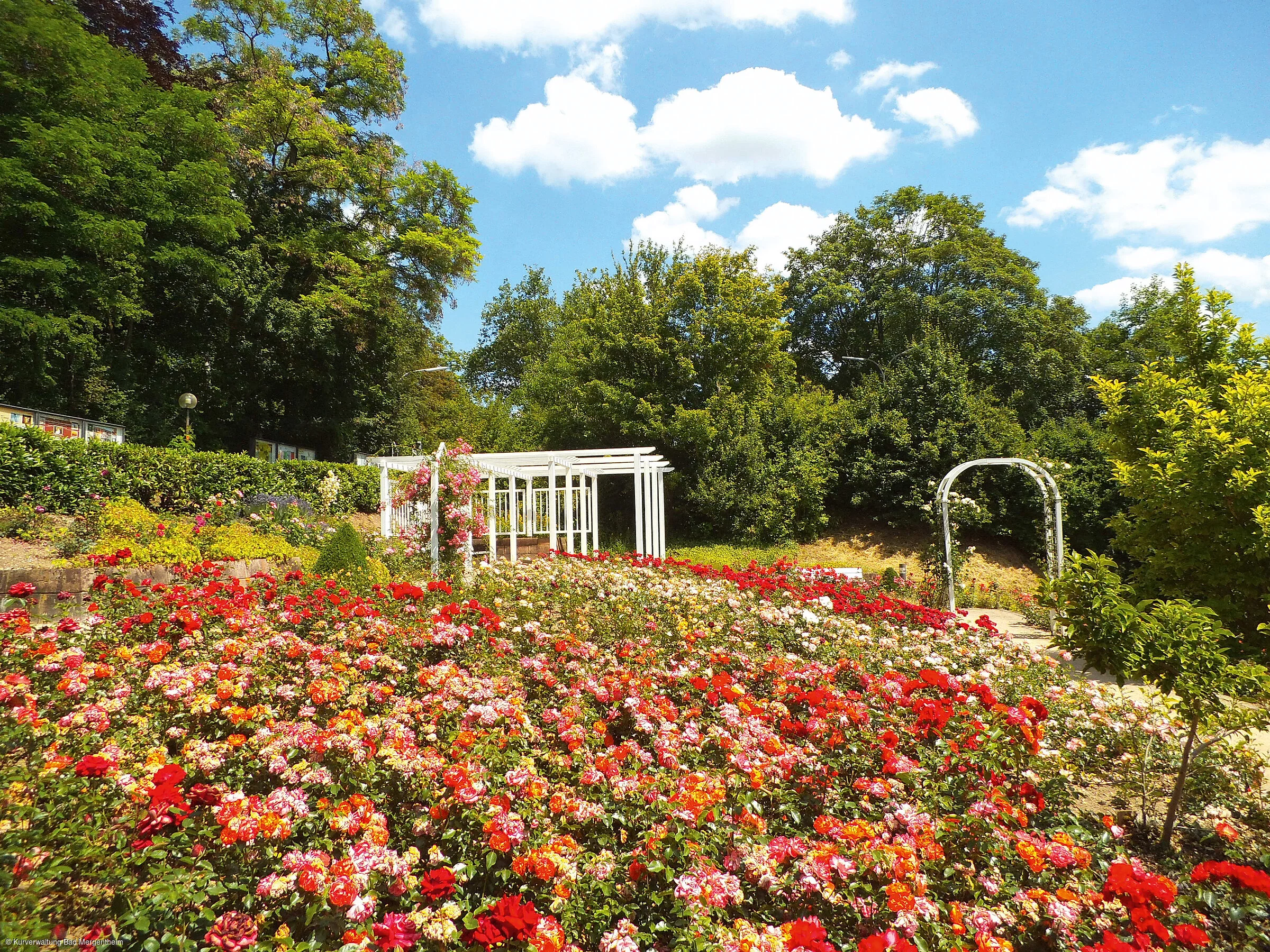 Rosengarten im Kurpark