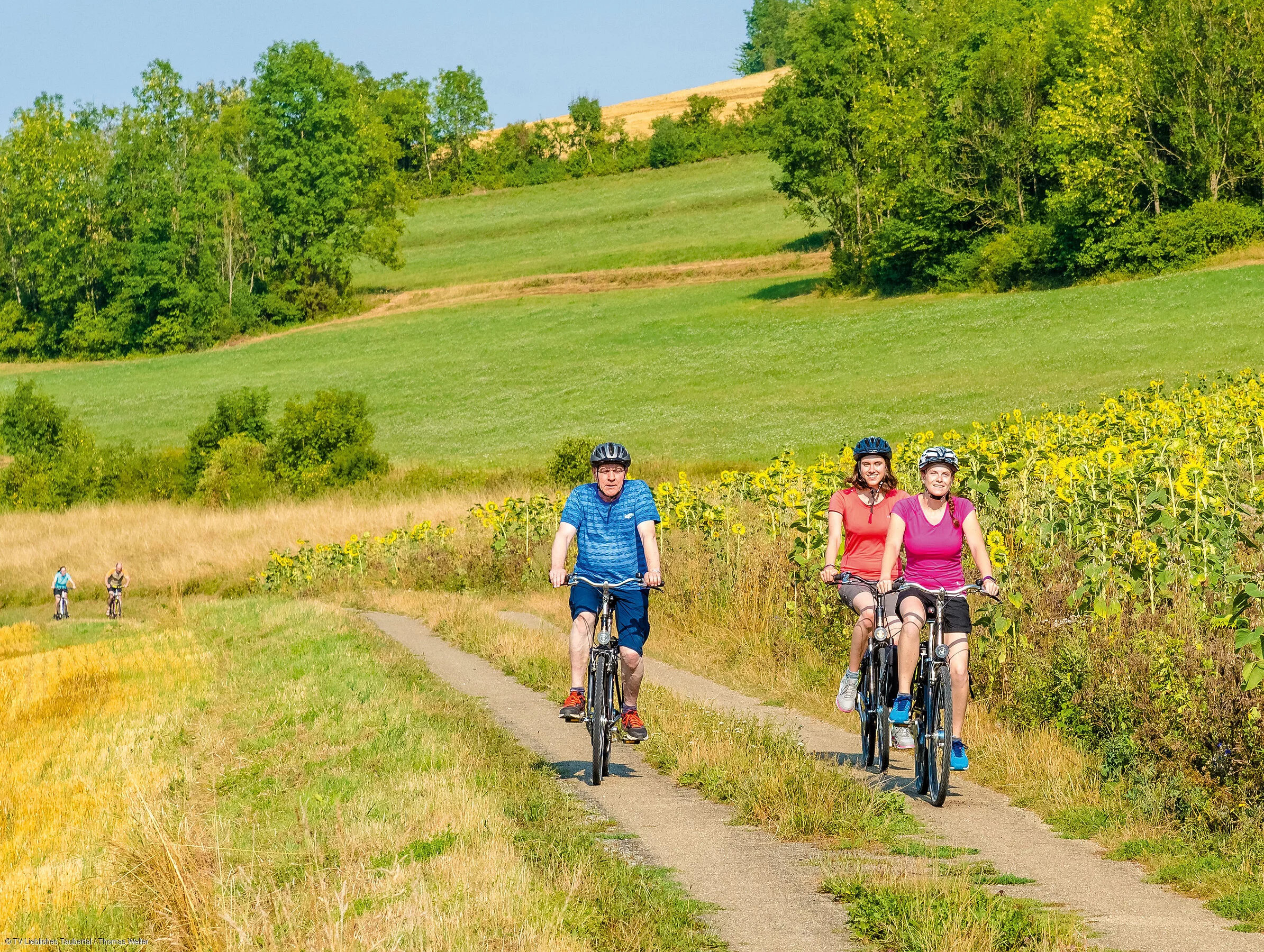 Radeln Grünkernradweg