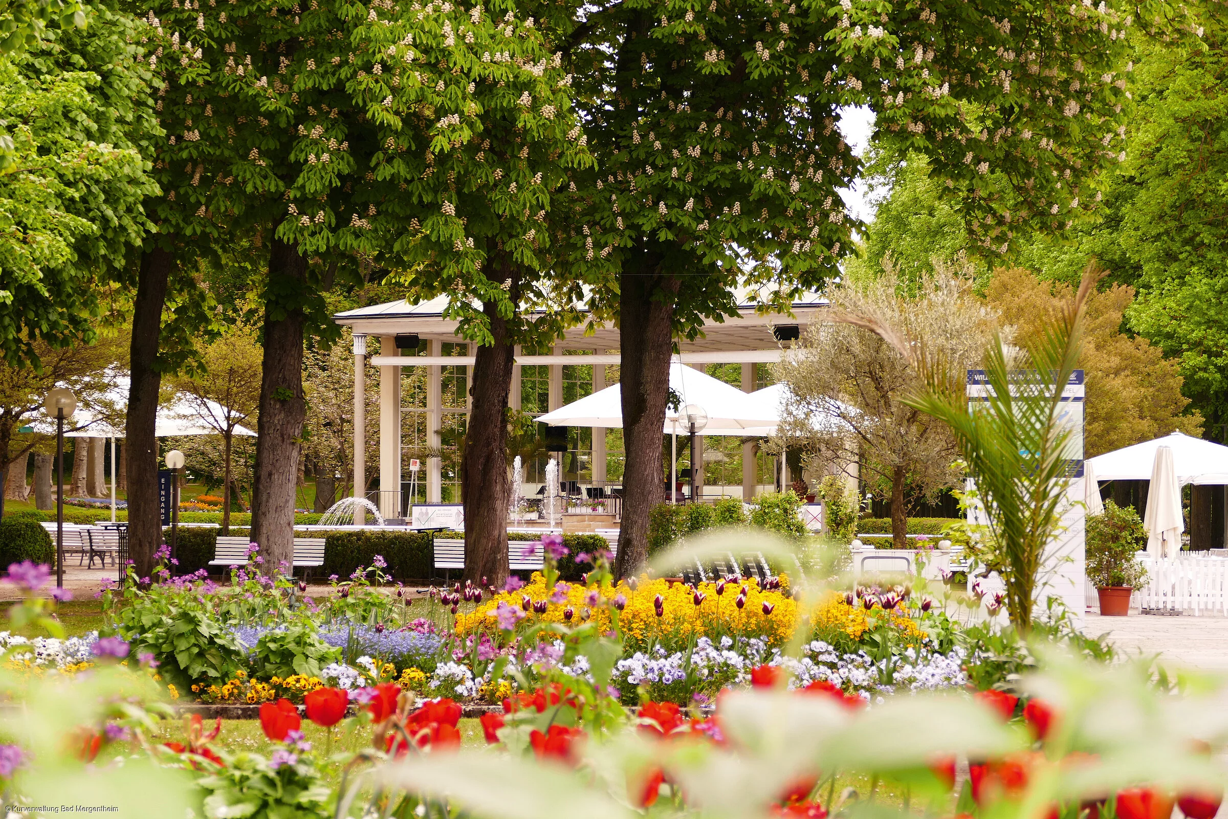 Kurpark