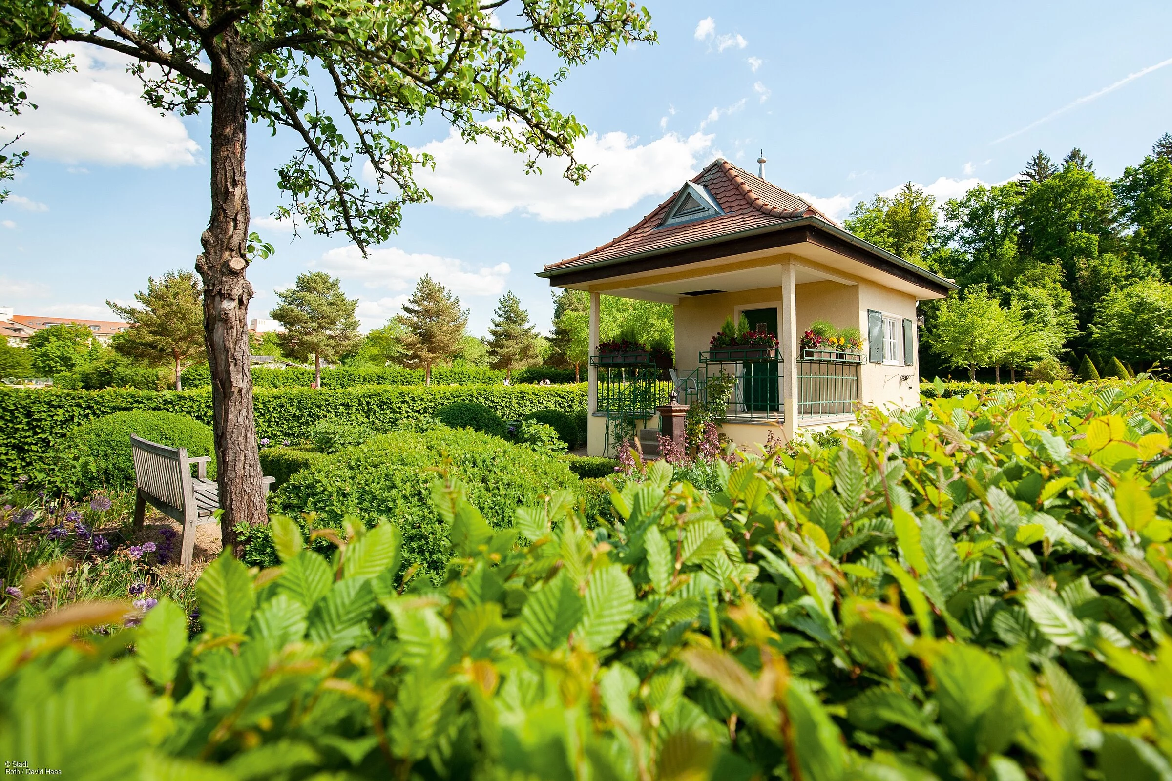 Stadtgarten Roth