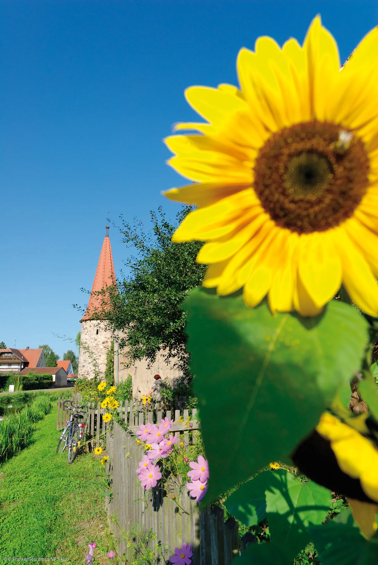 Stadtmauer Merkendorf mit Stadtgraben