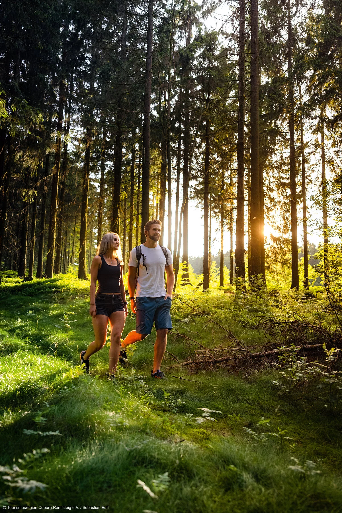 Wanderung im Wald