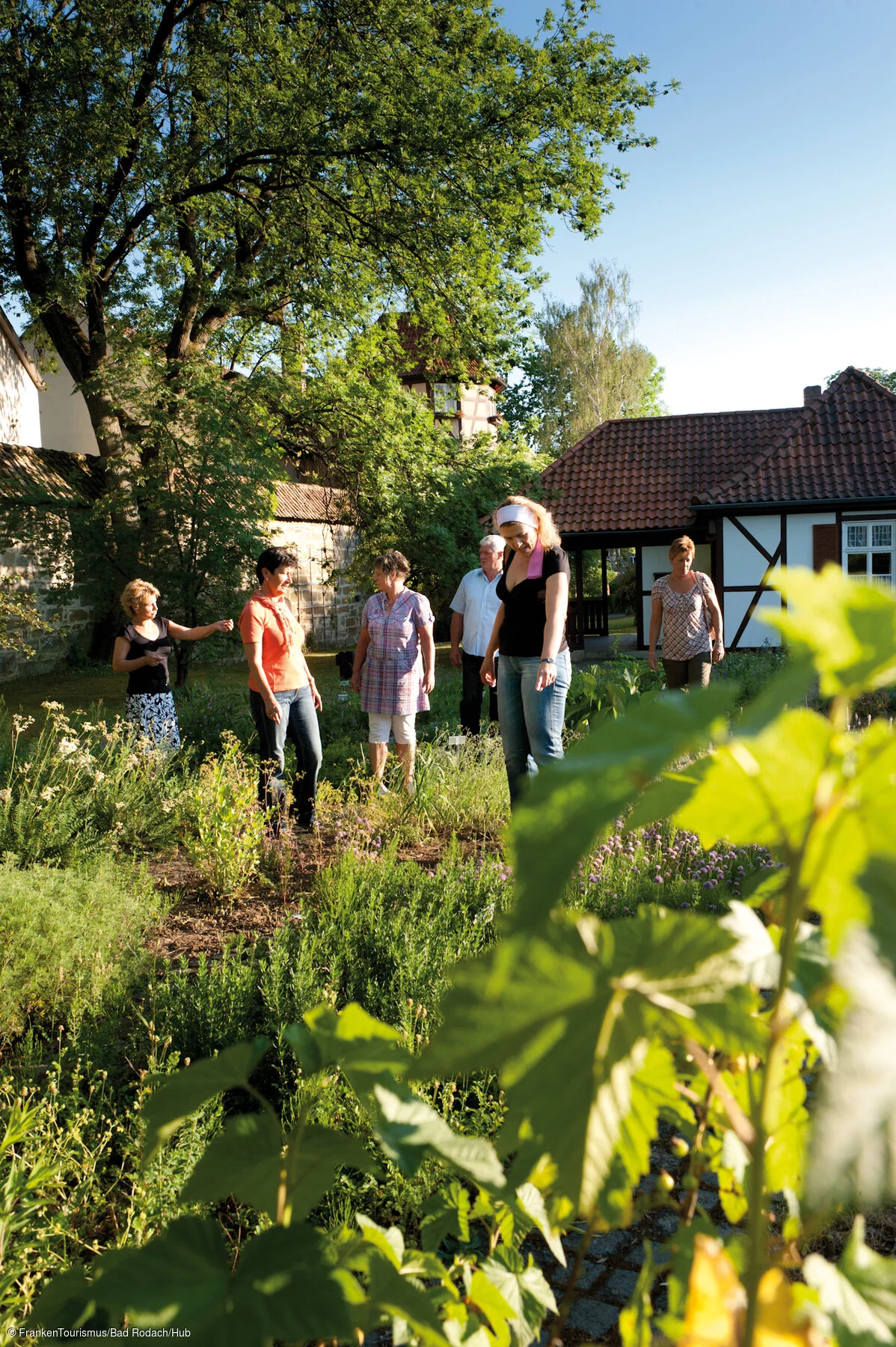 Kräutergarten