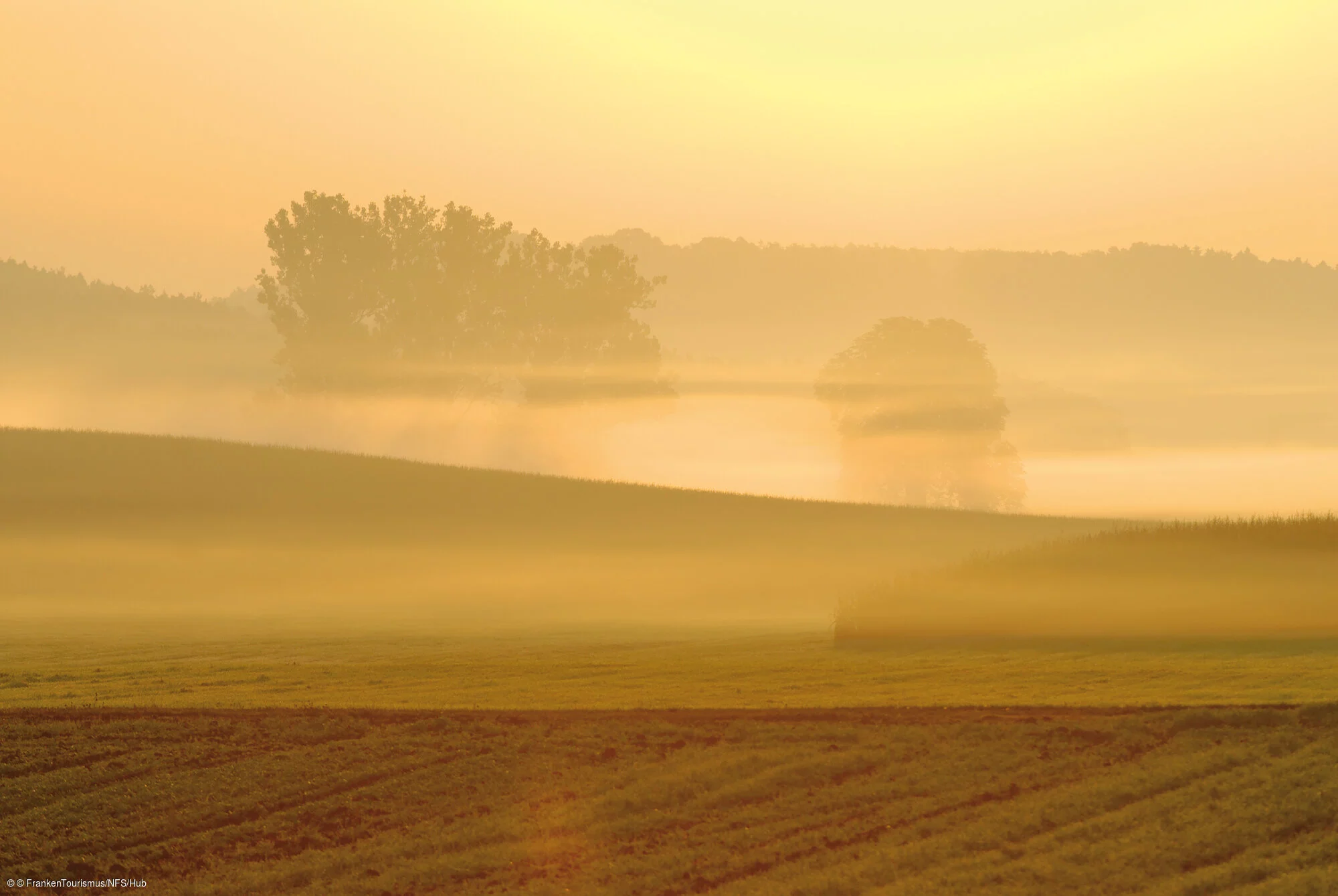 Morgentlicher Sonnenaufgang im Fränkischen Seenland