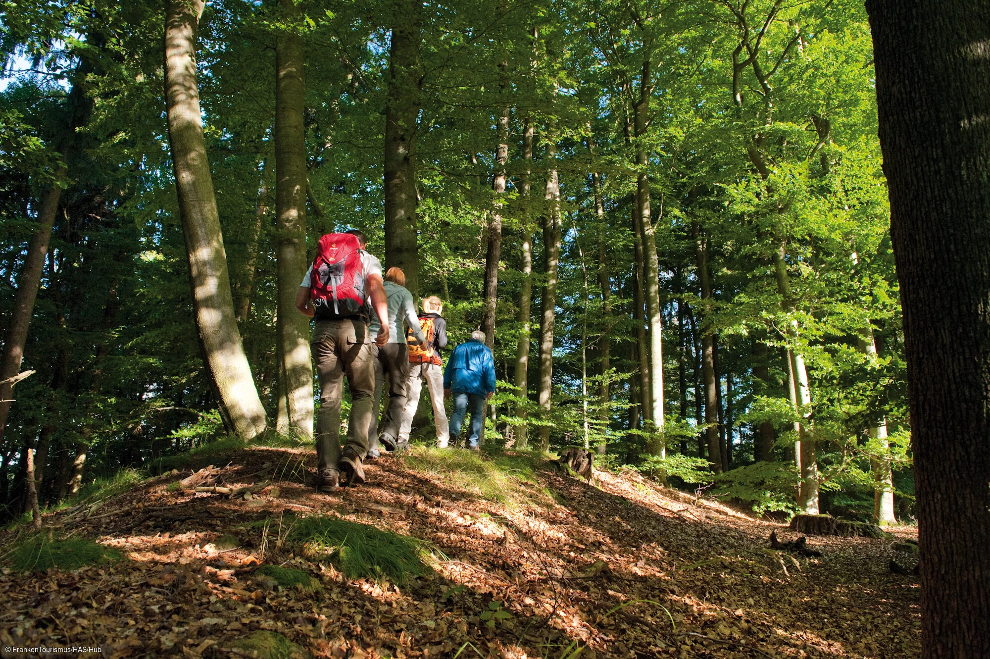 Schwedenschanze, Keltische Höhensiedlung