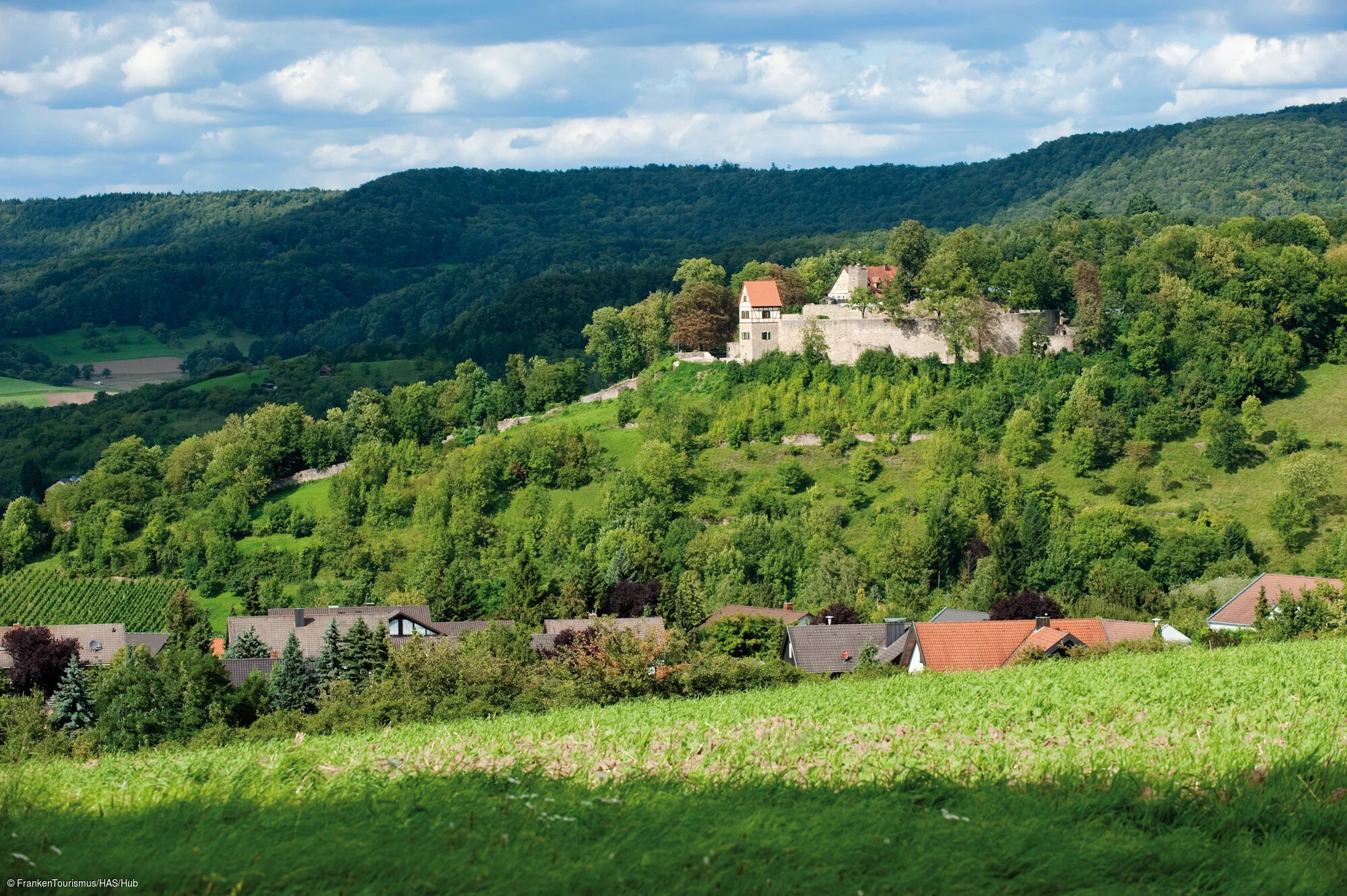 Aussichtsturm "Wart" - Blick Schlossberg