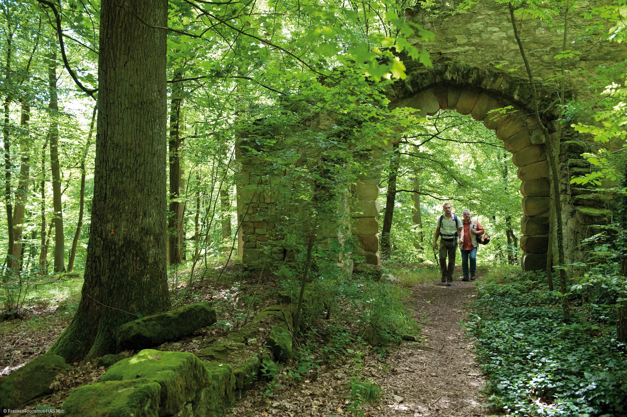 Landschaftspark Bettenburg