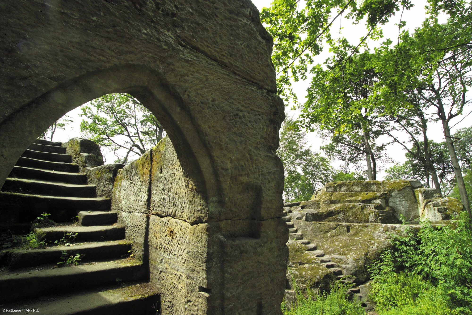 Friedrich-Rückert-Wanderweg / Eyrichshof, Burgruine Rothenhan