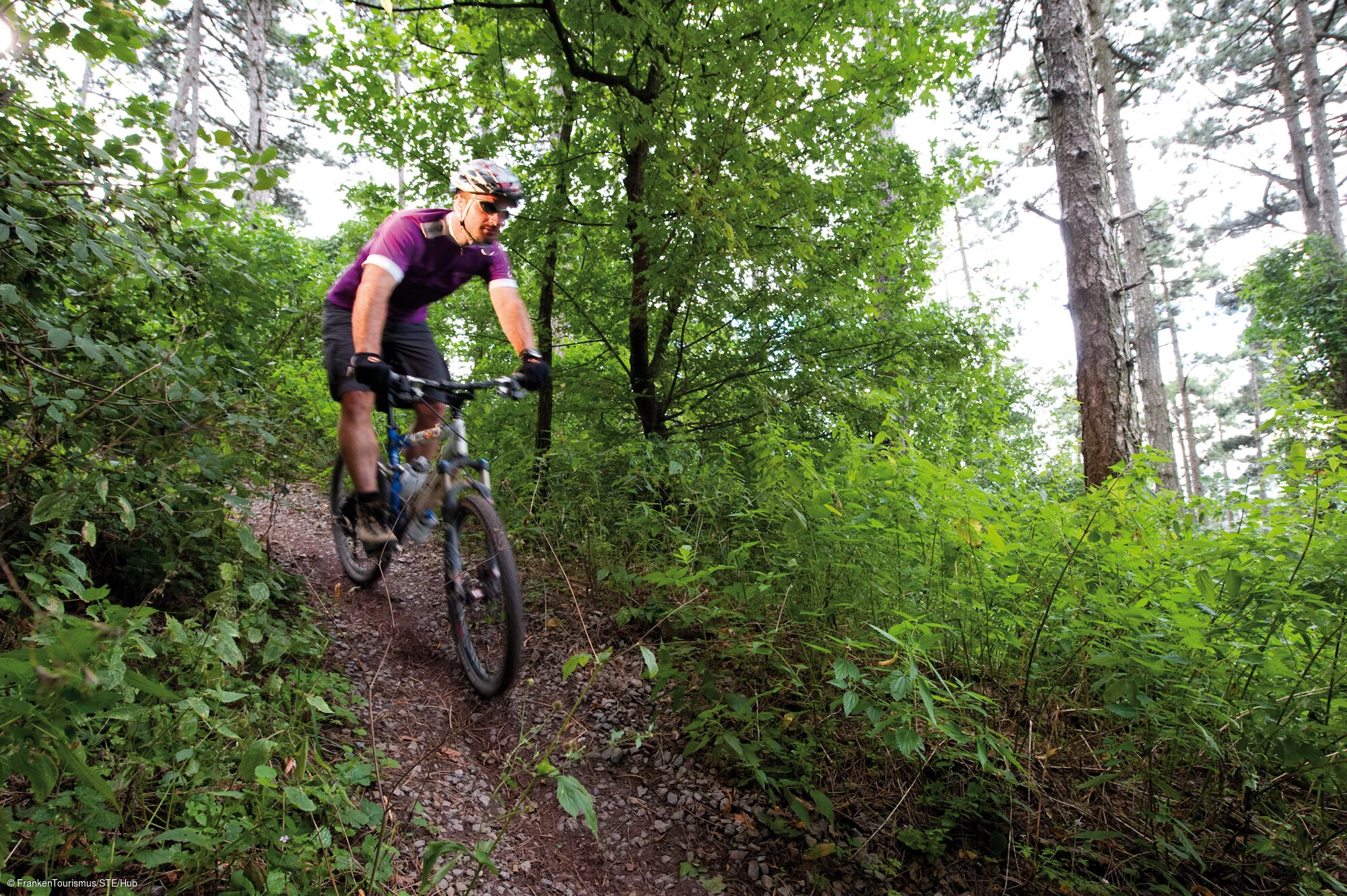 Mountainbiken am Naturweg zum Schwanberg
