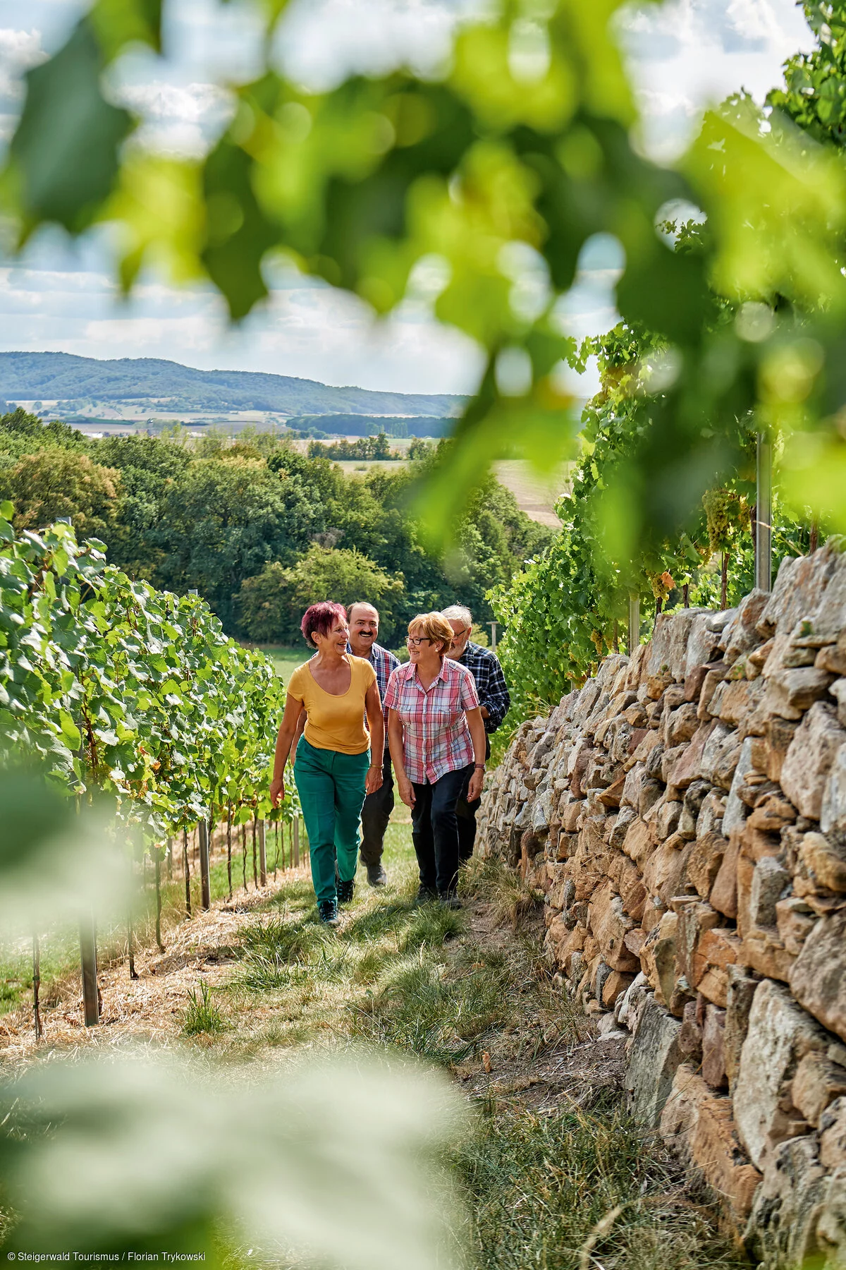 Wanderung im Weinberg