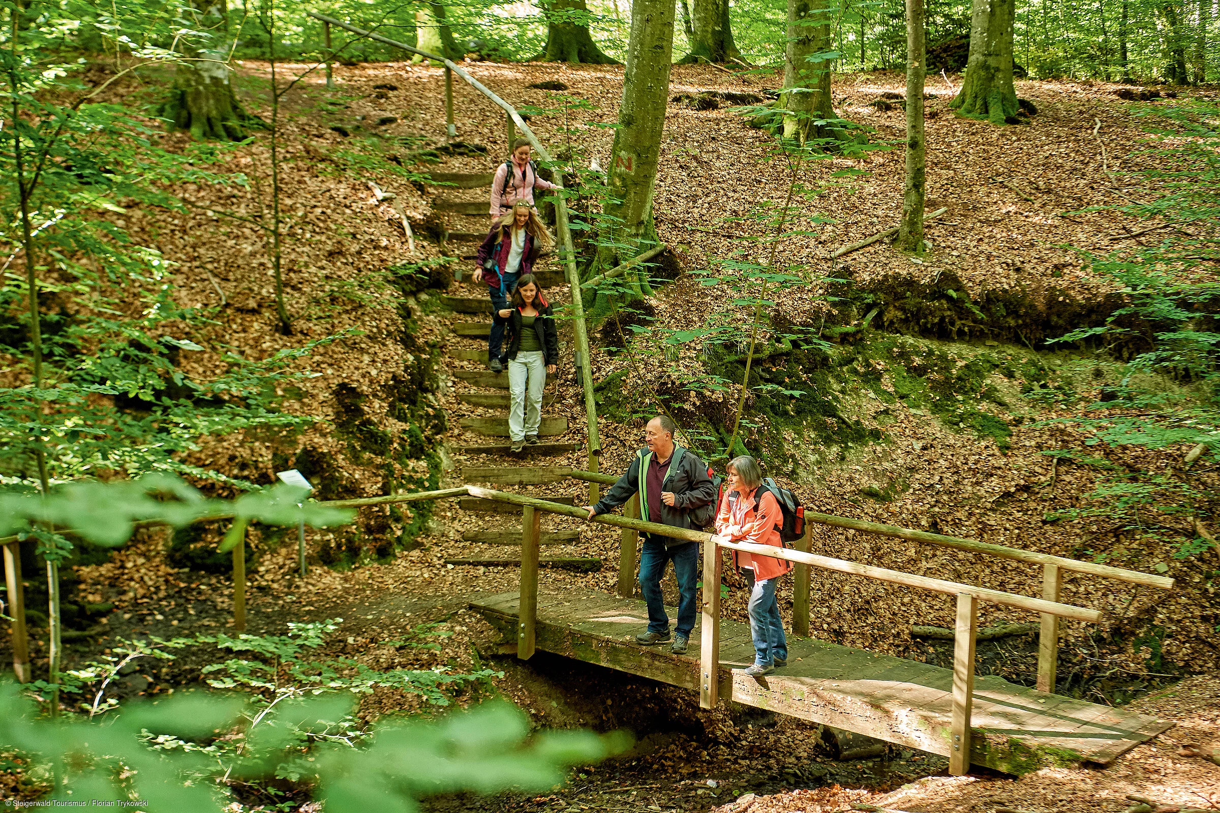 Wandern im Naturwald Wotansborn
