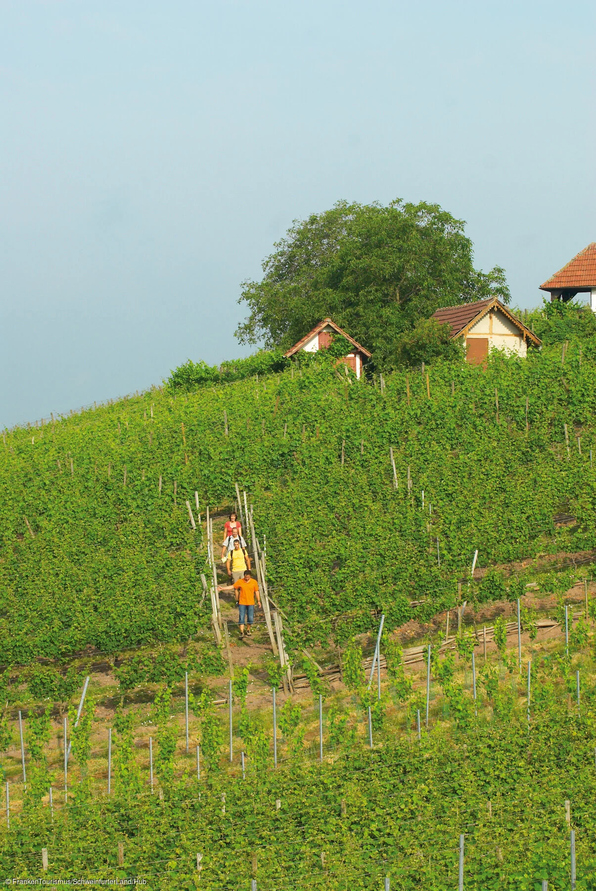 Weinwandern