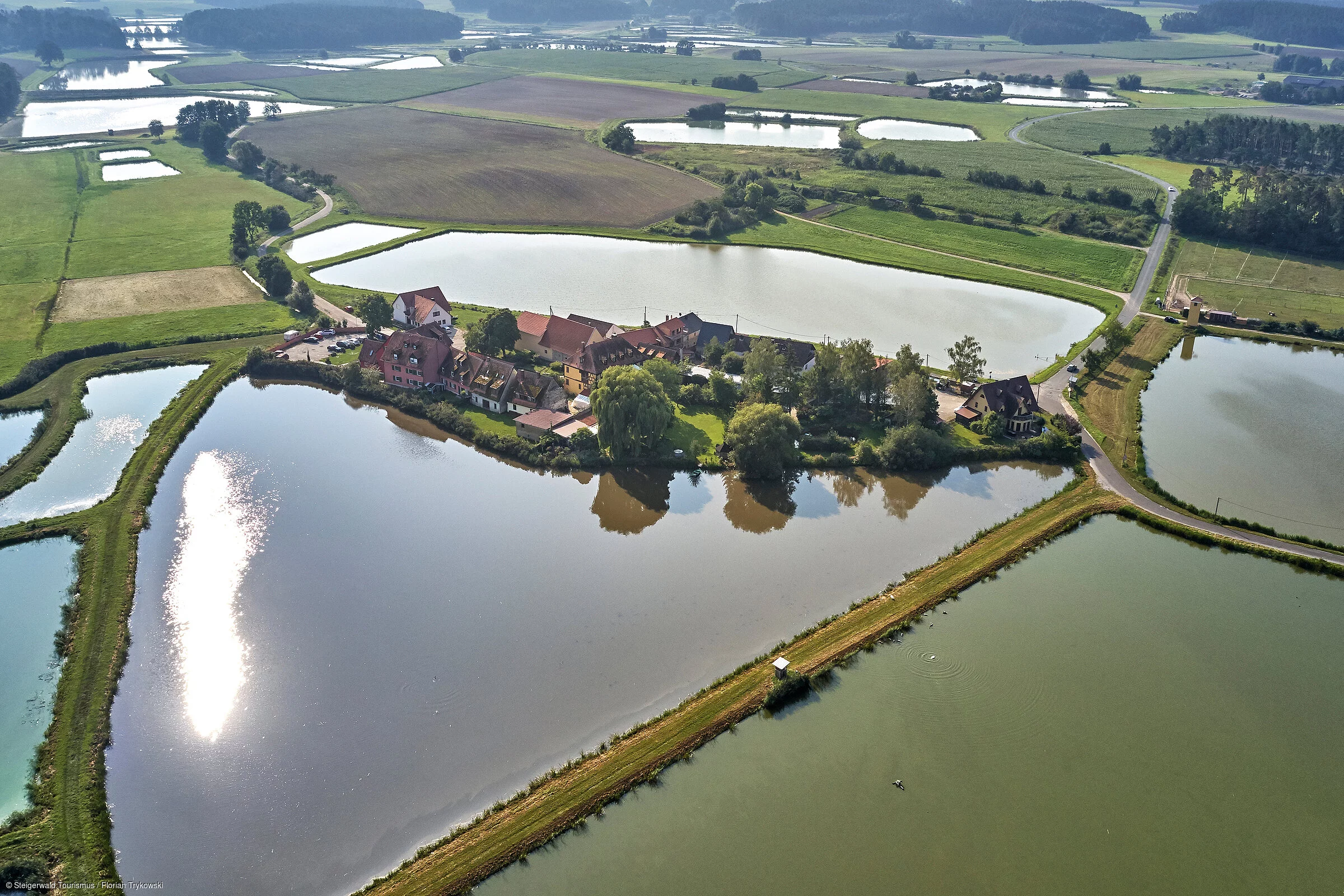 Aischgrund - Karpfenweiher
