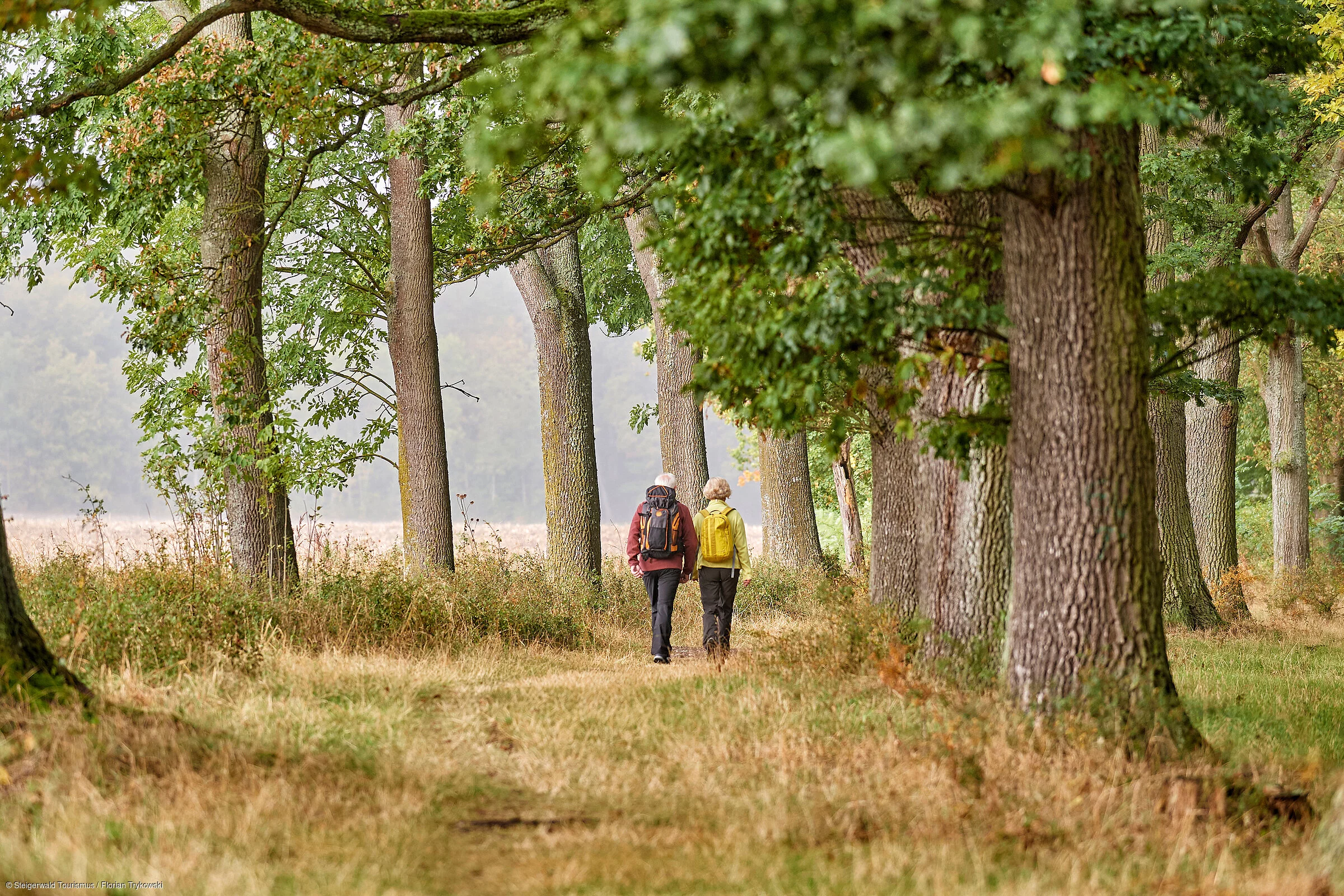 Wandern auf dem Steigerwald-Panoramaweg