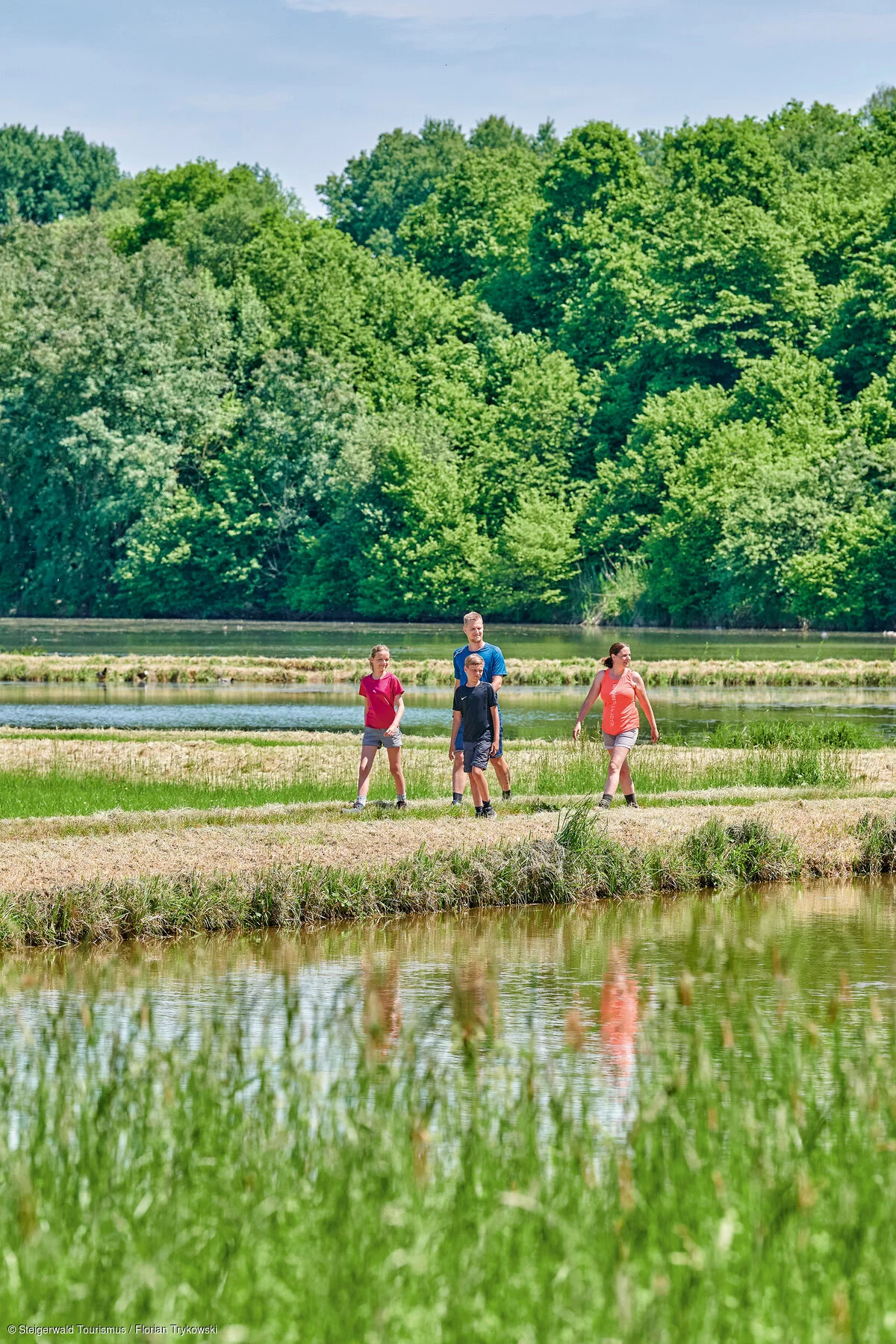 Wandern entlang von Weiherlandschaften