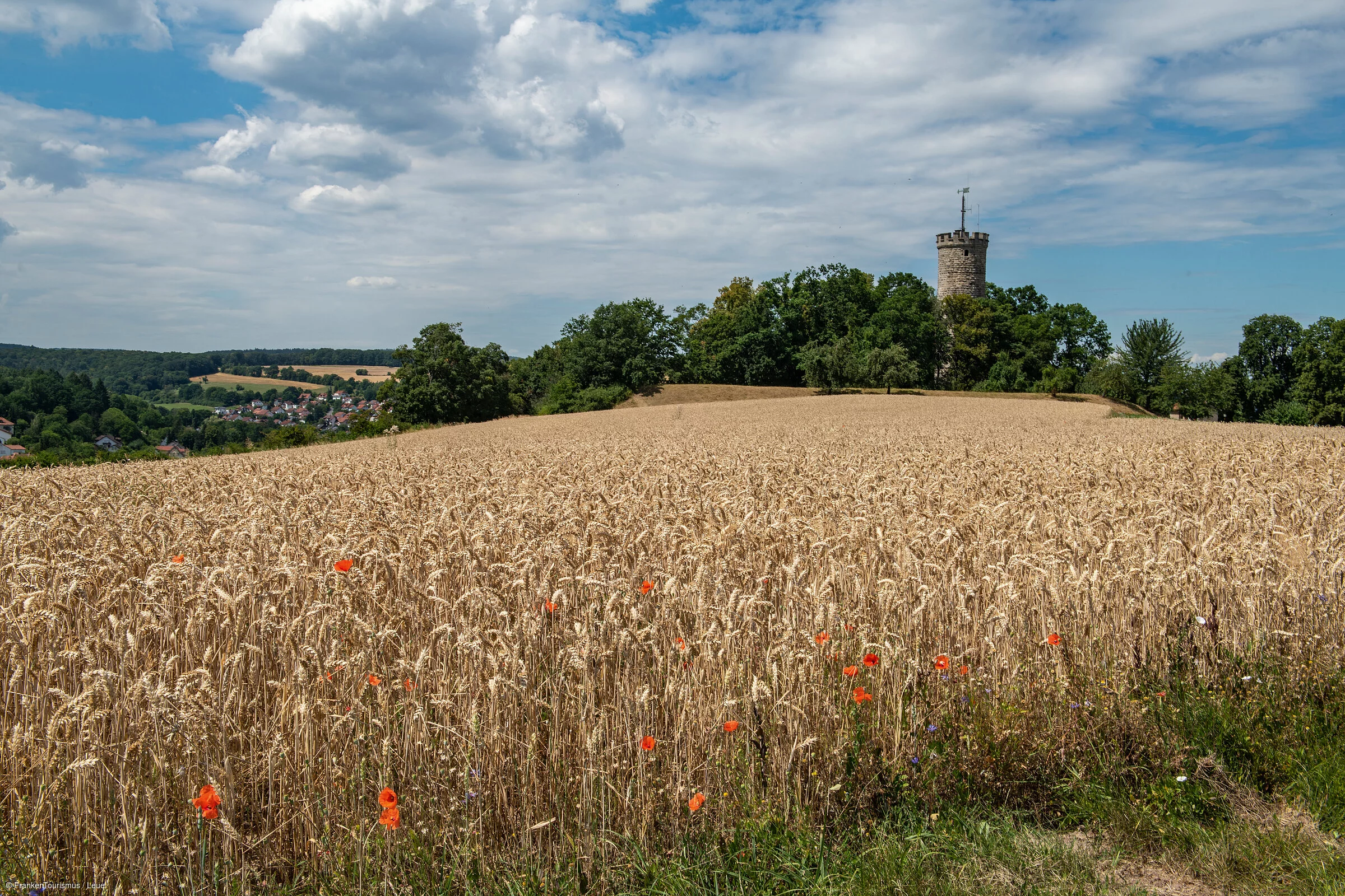 Weizenfelder mit Blick auf die Ruine Wallburg  bei Eltmann