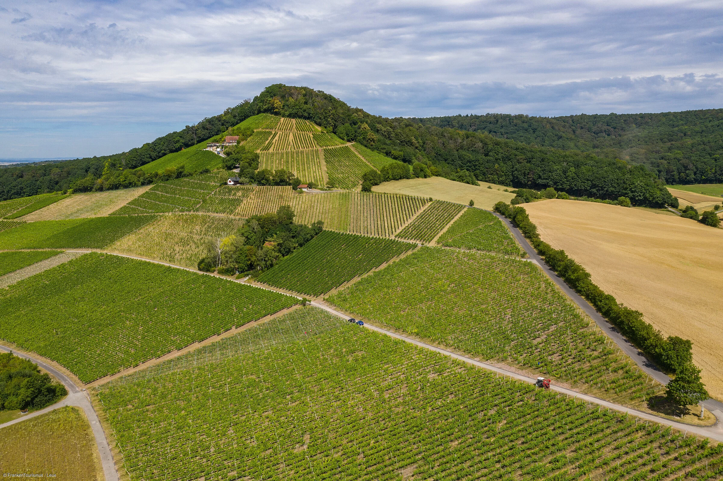 terroir-f "Oberschwarzach-Handthal" in der Weinlage Handthaler Stollburg