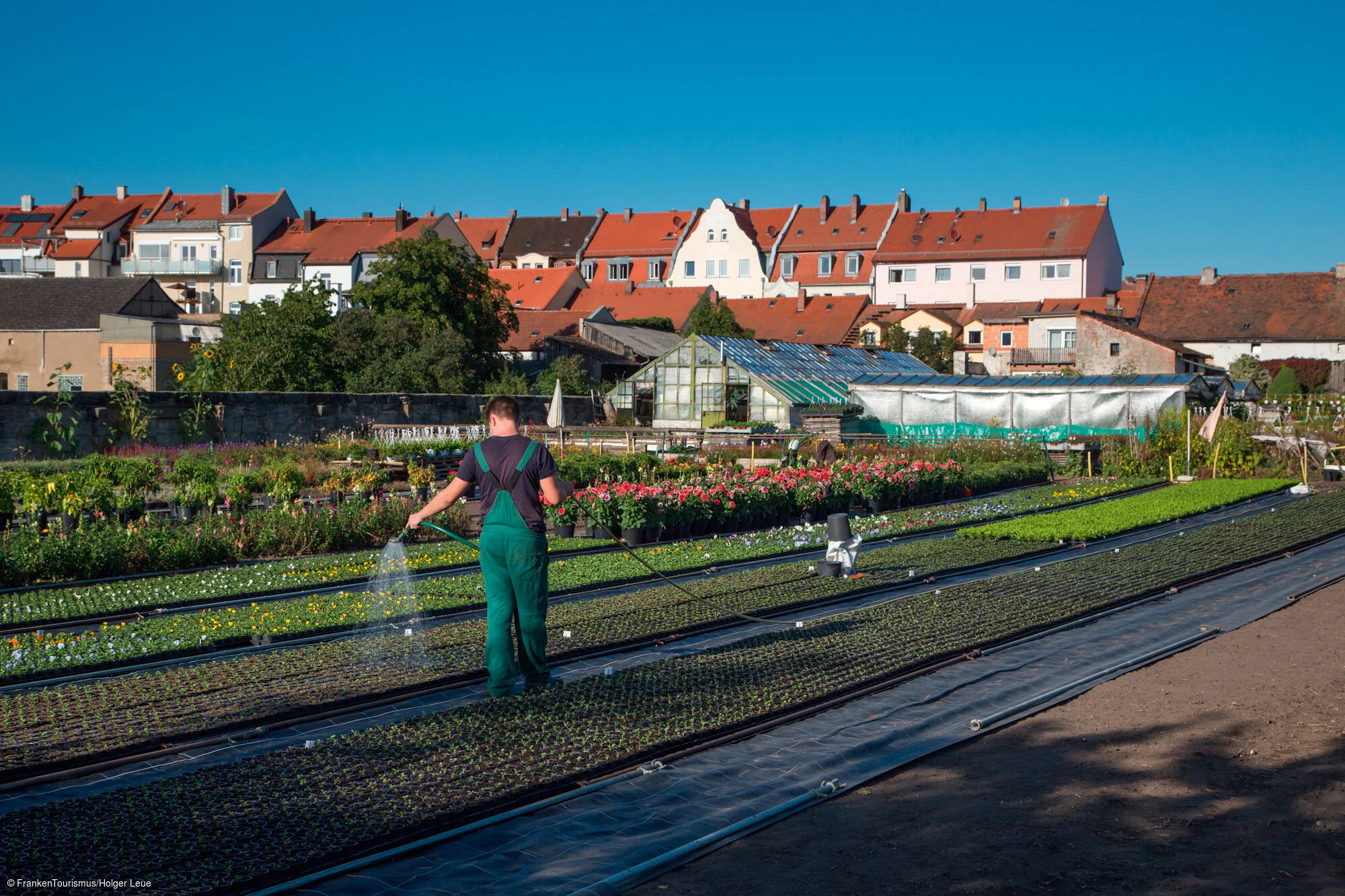 Gärtnerstadt Bamberg