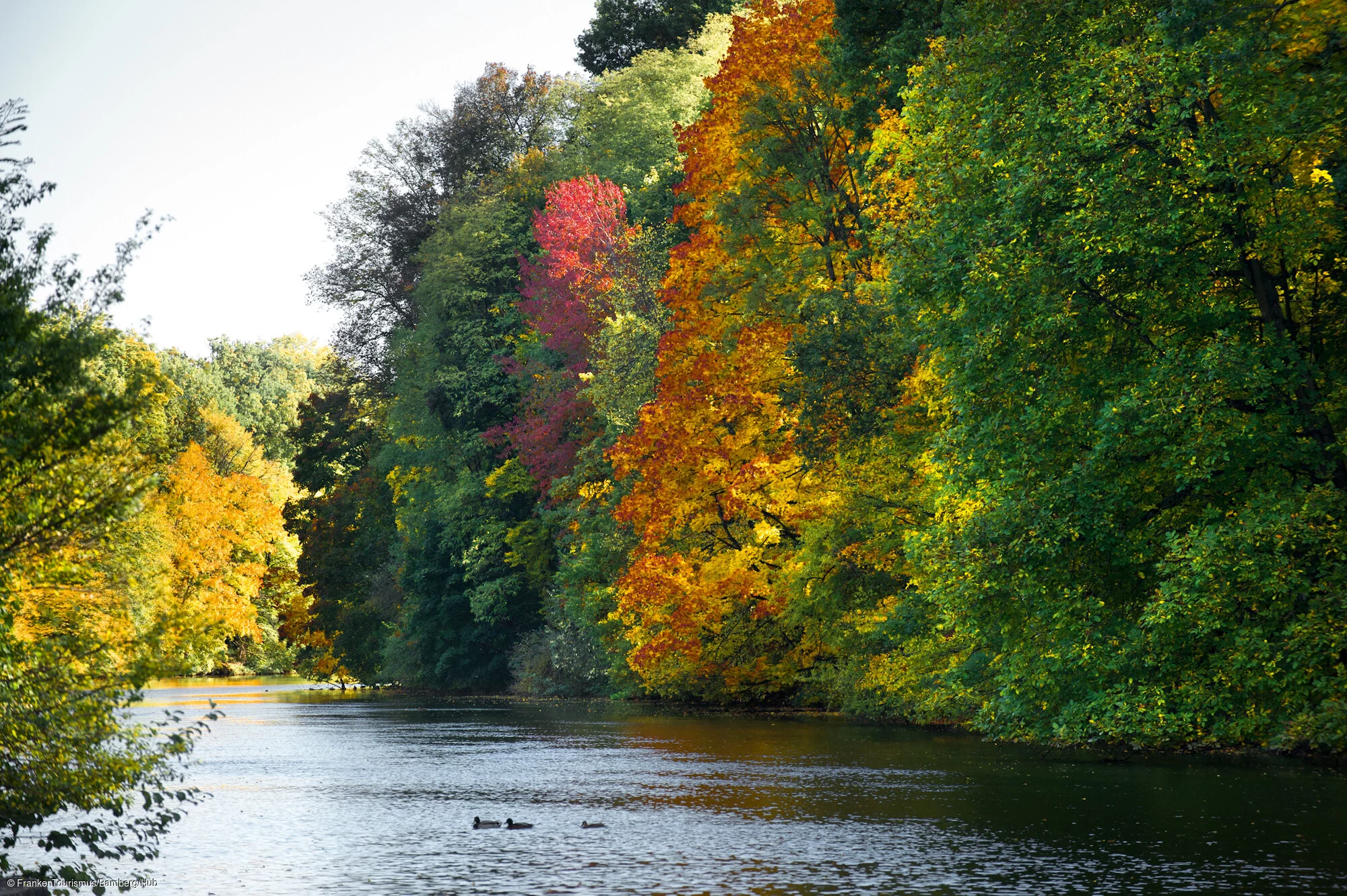 Regnitz im Hain