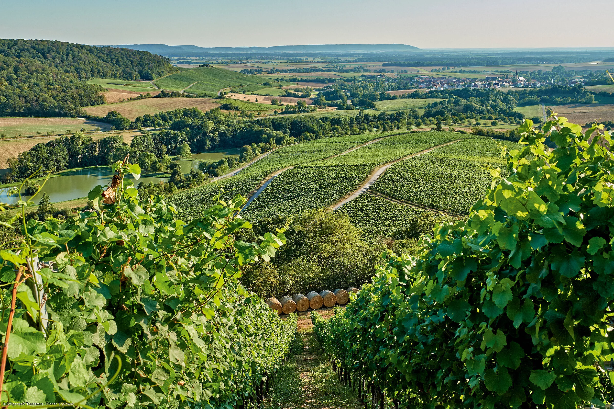 Handthaler Weinberge