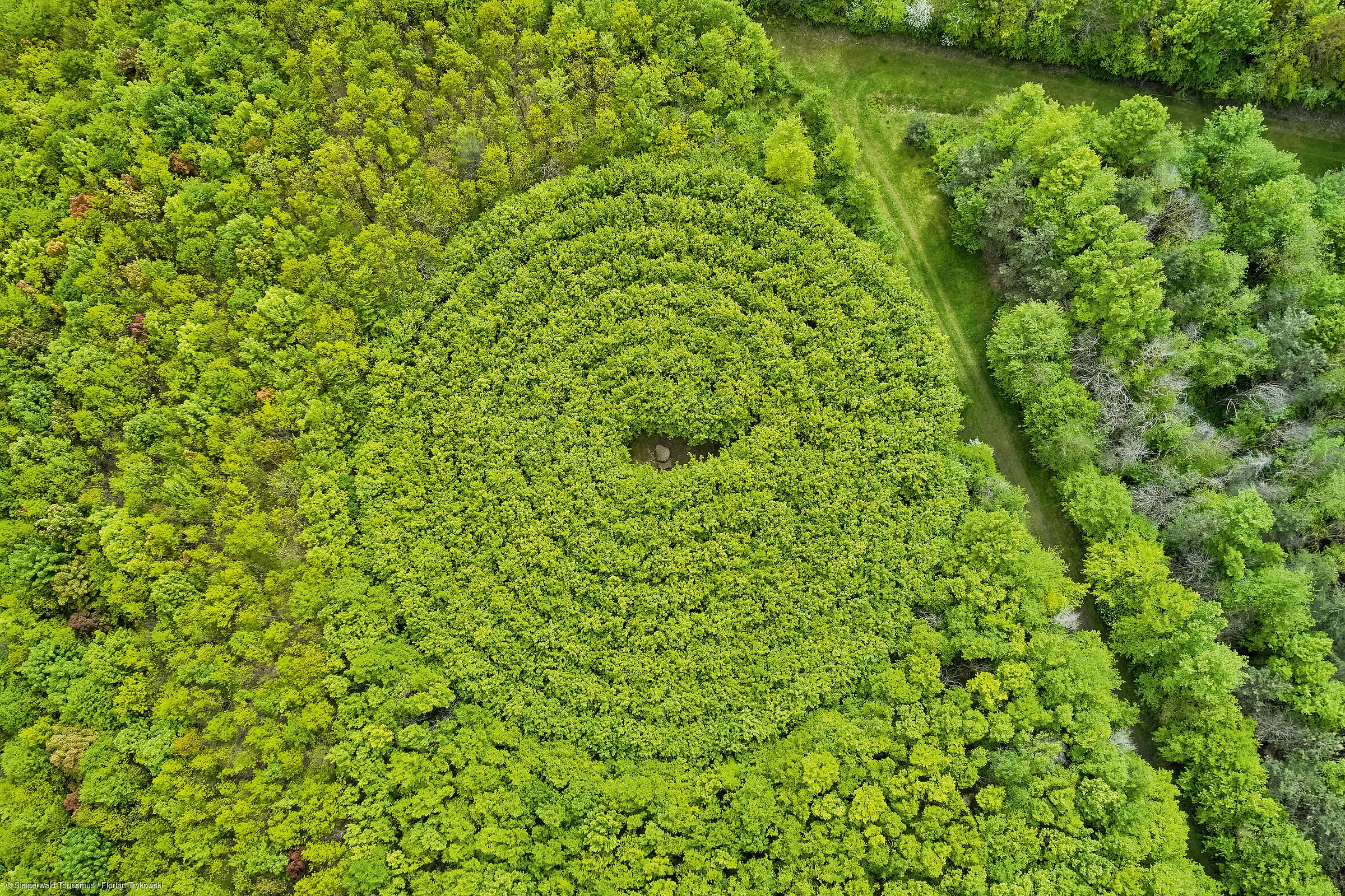 Baumlabyrinth