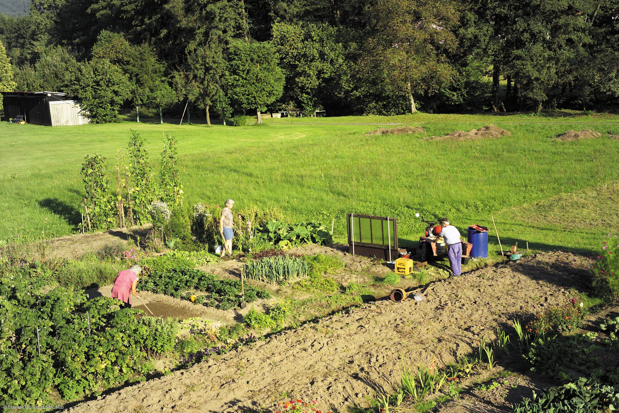 Kleinkahl, Gemüse-Garten